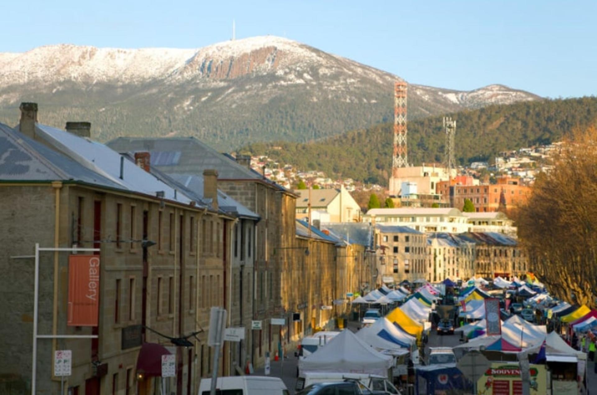 nipaluna (Hobart) Highlights Half Day Tour - Thumbnail 6