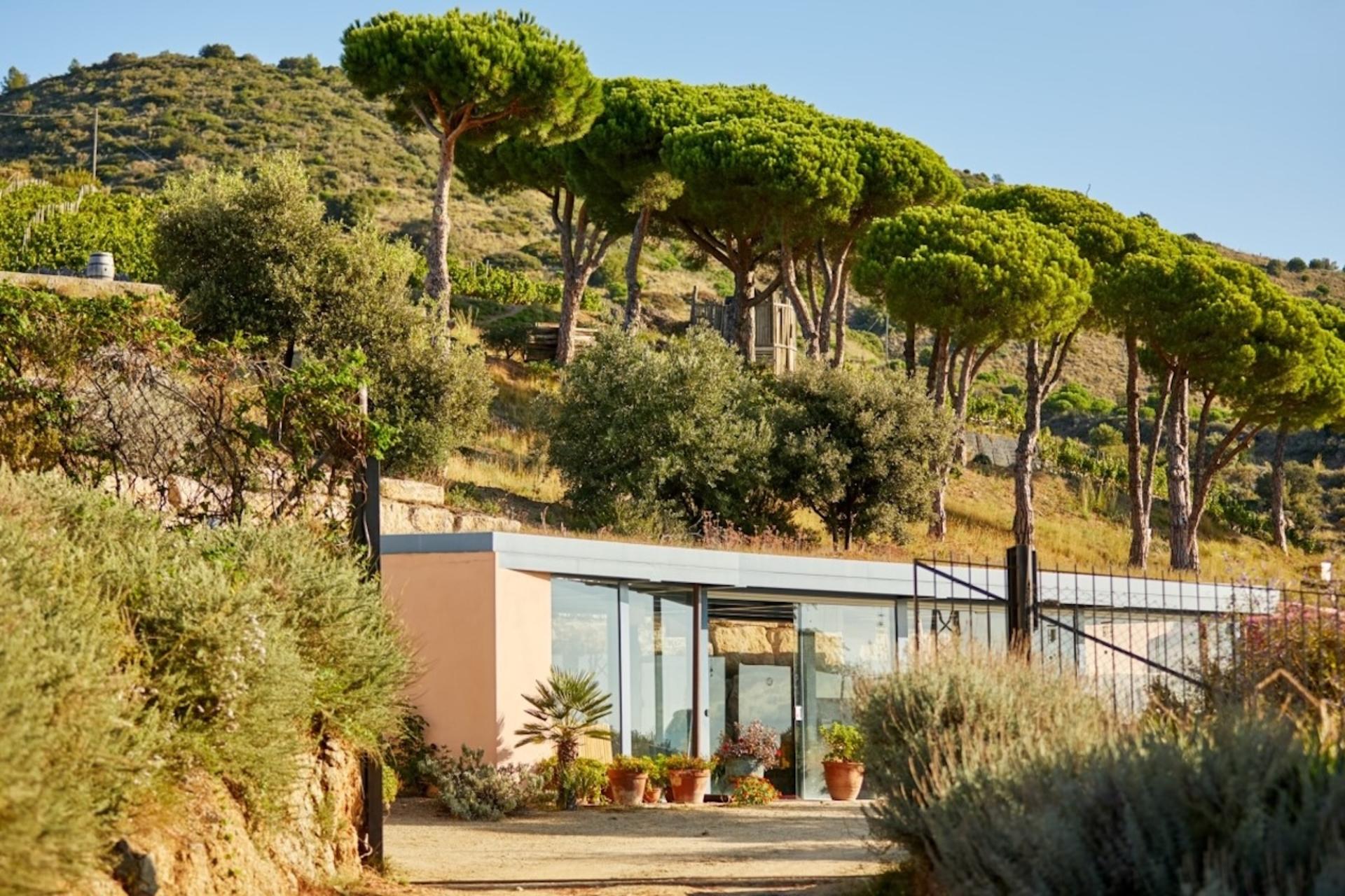 Cruise, Vineyard and Wine Tasting Tour from Barcelona - Thumbnail 13