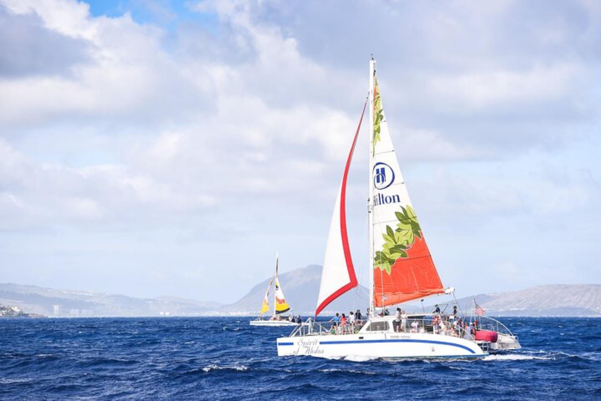 Turtle Reef Snorkeling and Sailing Experience from Port Waikiki - Image 1