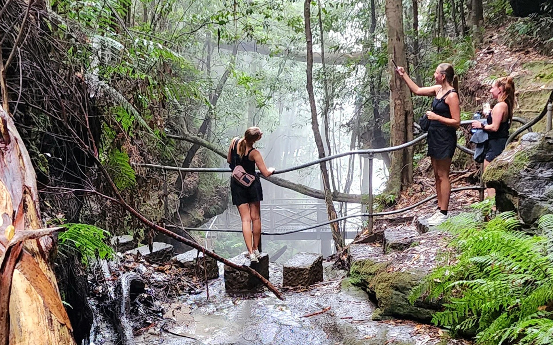 Sydney Blue Mountains Full-Day Small Group Waterfall Tour - Thumbnail 6