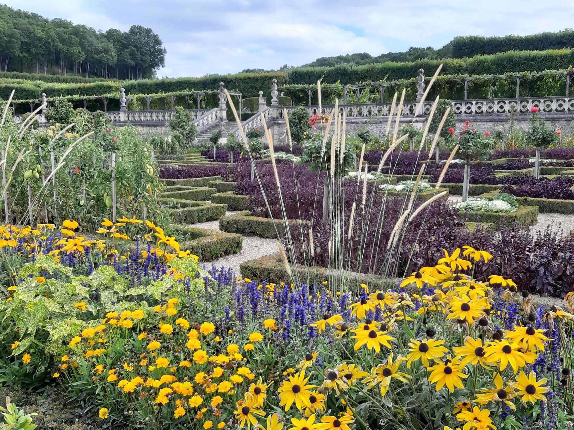 Loire Valley Half Day Tour from Tours - Thumbnail 3