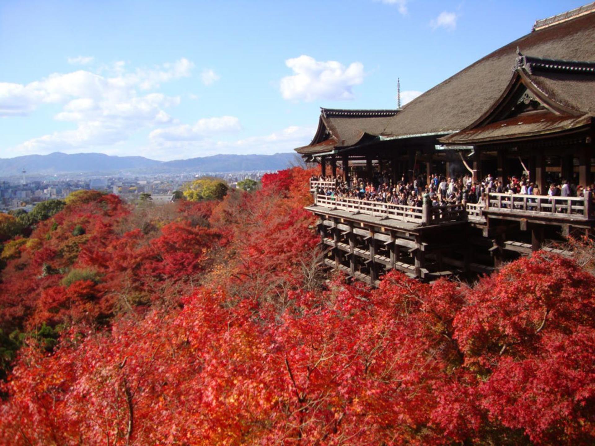 Kyoto 1 Day Bus Tour : Fushimi Inari, Kinkakuji, Bamboo Grove - Thumbnail 27