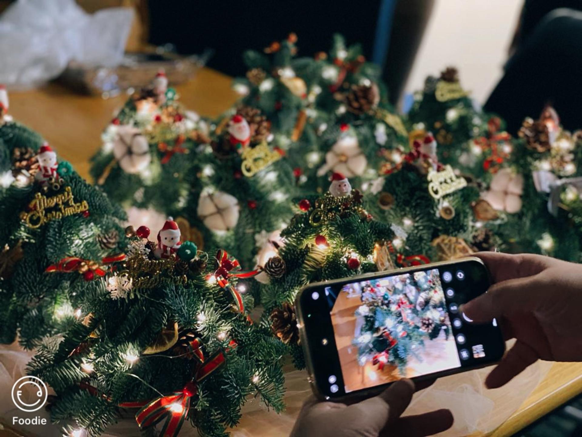 Myosotis Flower Mini Christmas Tree Workshop - Thumbnail 15