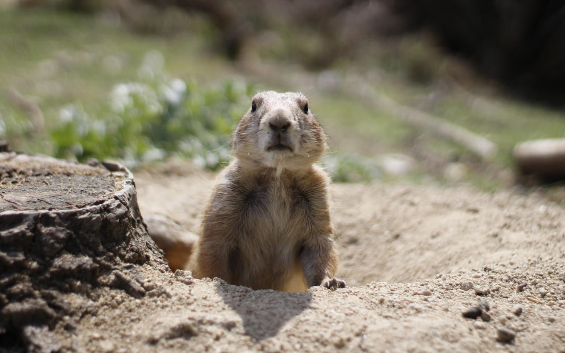 Faunia Nature Park Admission in Madrid - Thumbnail 10