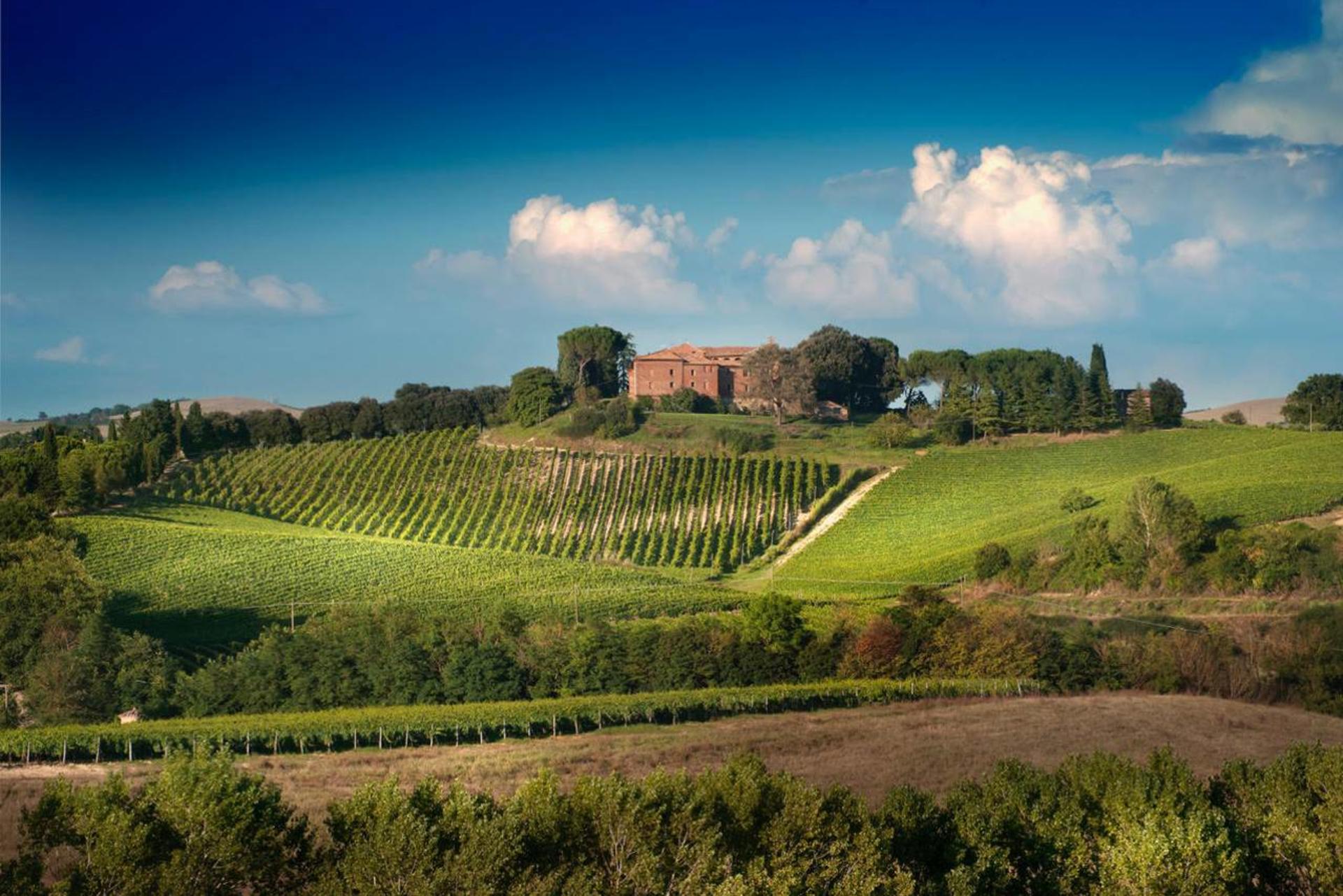 Brunello wine tasting tour in Montalcino with lunch in Tuscan castle - Image 1