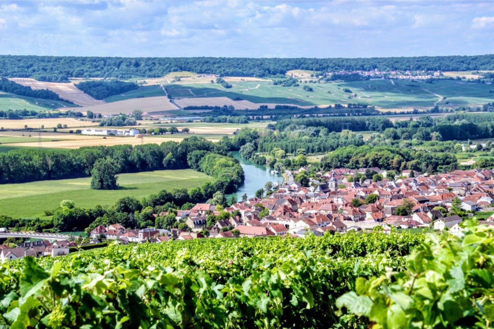 Champagne Full-Day Small Group Tour with Wine Tasting - Image 1