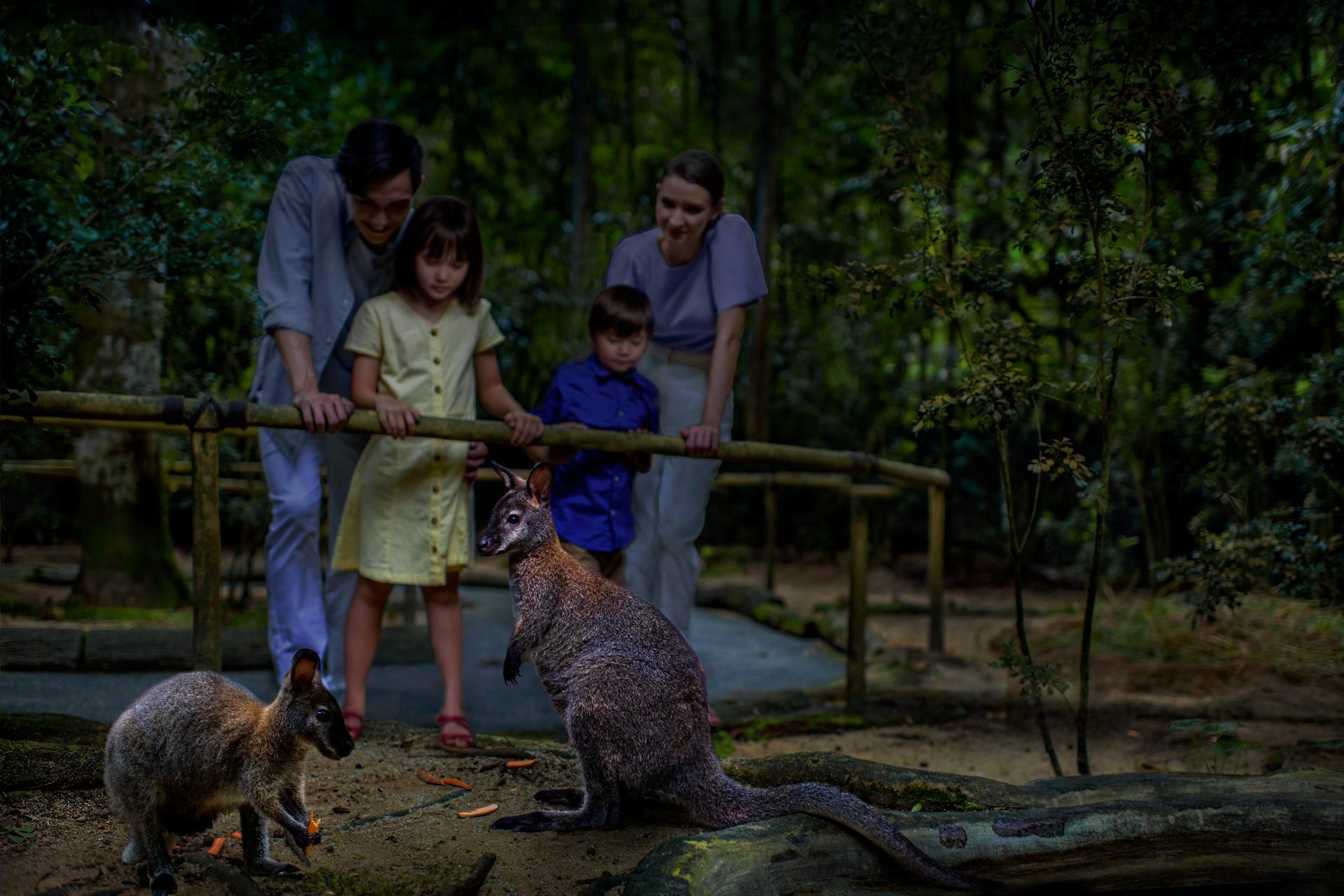 Night Safari Ticket | Mandai Wildlife Reserve, Singapore - Thumbnail 13