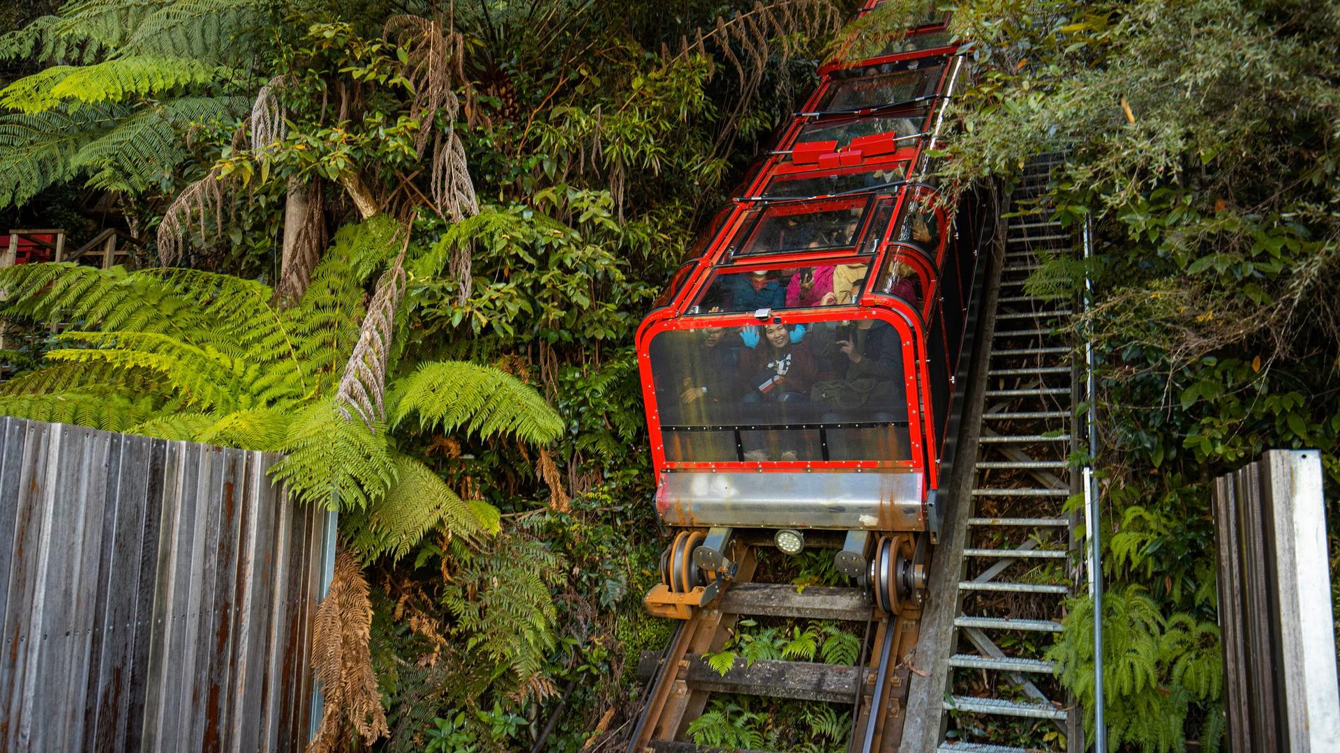Private Blue Mountains, Scenic World & Australian Wildlife Tour - Thumbnail 43