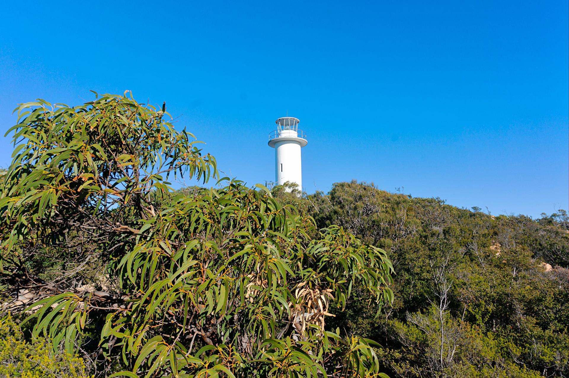 Wineglass Bay & Freycinet Day Tour from Hobart via Richmond Village  - Thumbnail 16