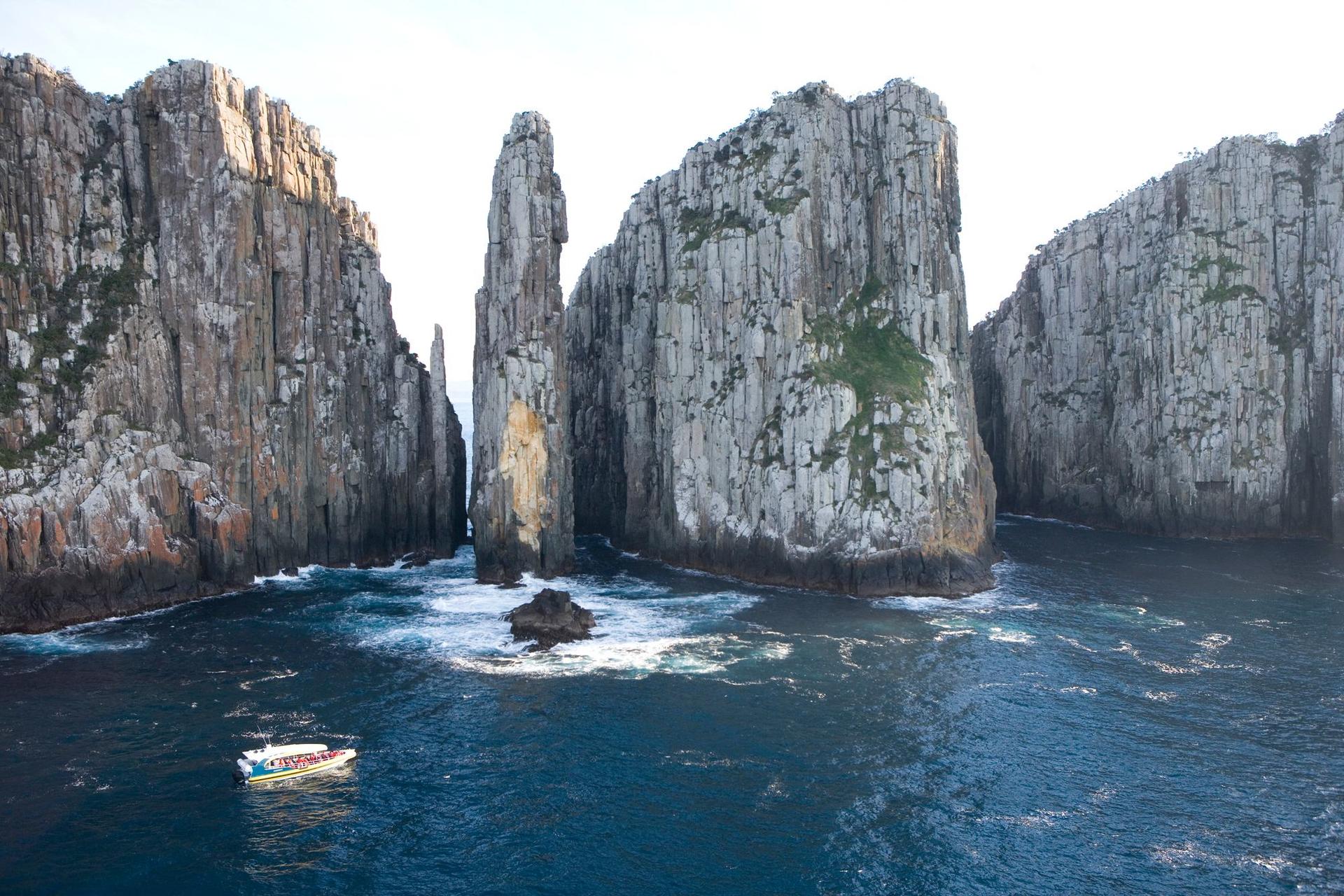 Tasman Island Cruises Full Day Tour from Hobart - Thumbnail 7
