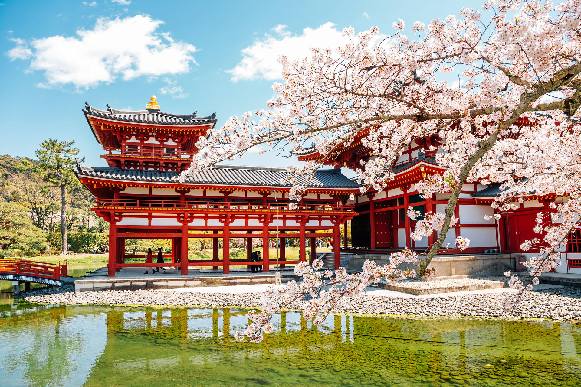 Best of Kyoto & Nara: Kiyomizudera, Nara Park, Todaiji & Much More - Thumbnail 19