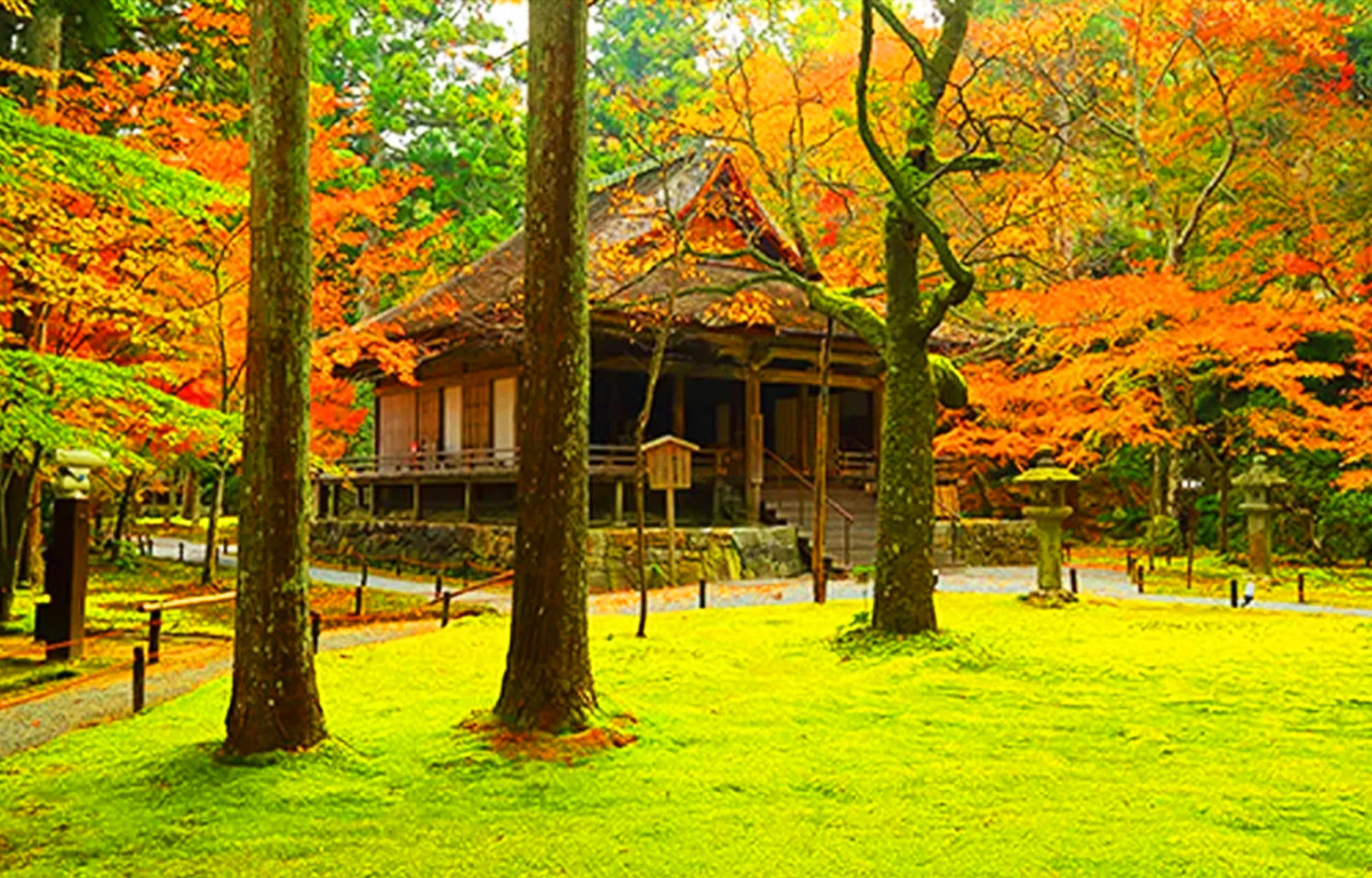 Kyoto Sanzen-in, Kifune Shrine, and Arashiyama Small Group Day Tour (Driver-Guide Service) - Thumbnail 12