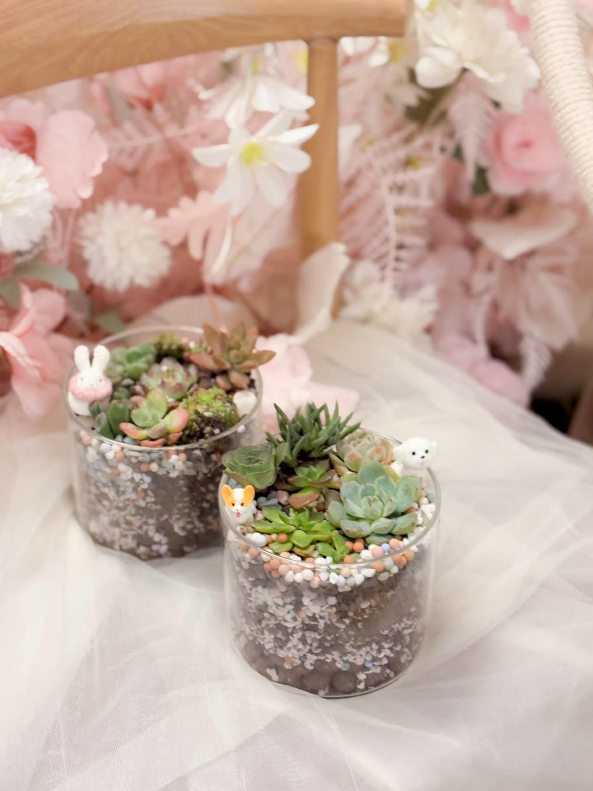 Myosotis Flower - Succulent Terrarium Workshop - Thumbnail 30
