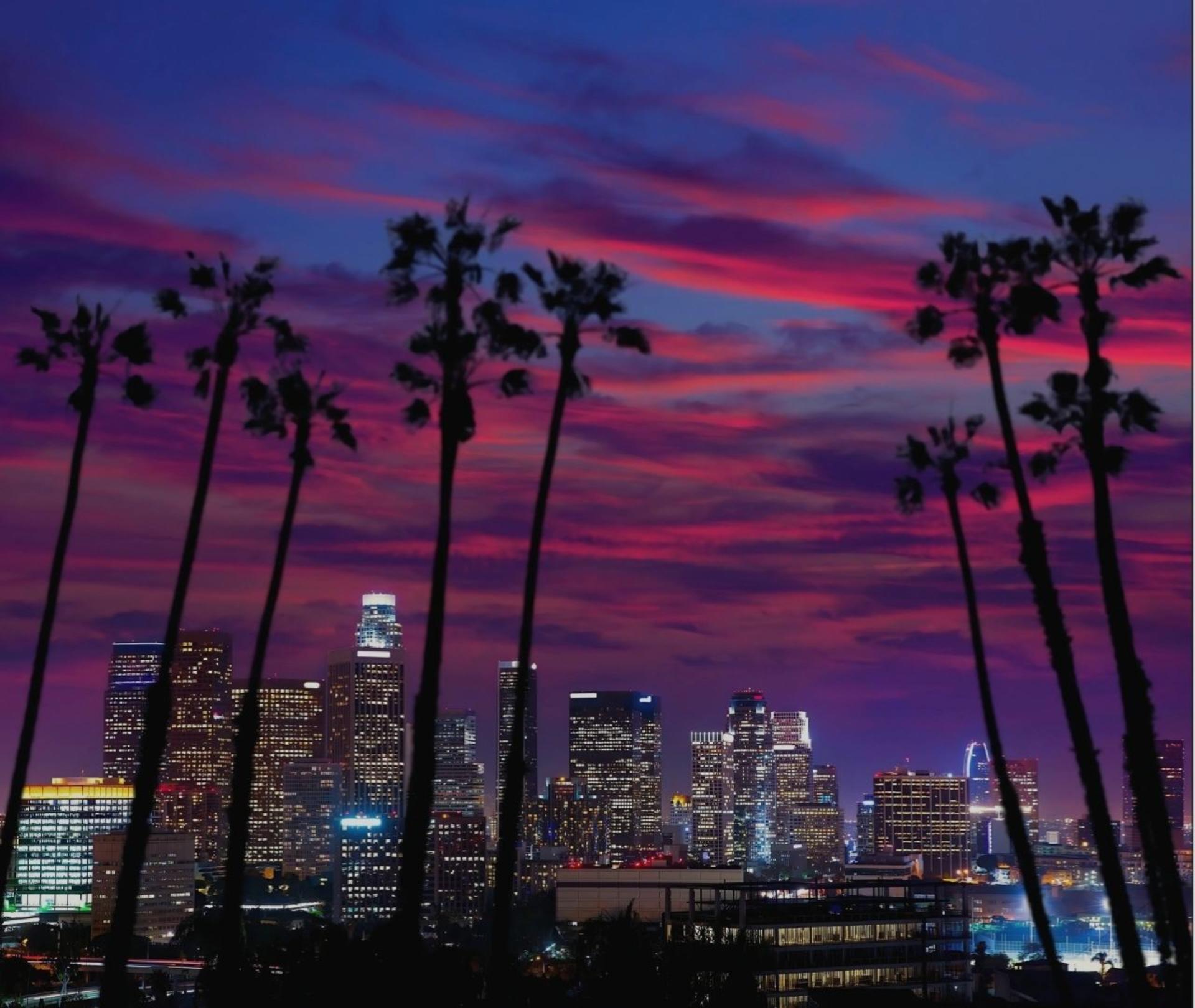 Hollywood Night Tour in Los Angeles with Griffith Observatory - Thumbnail 5
