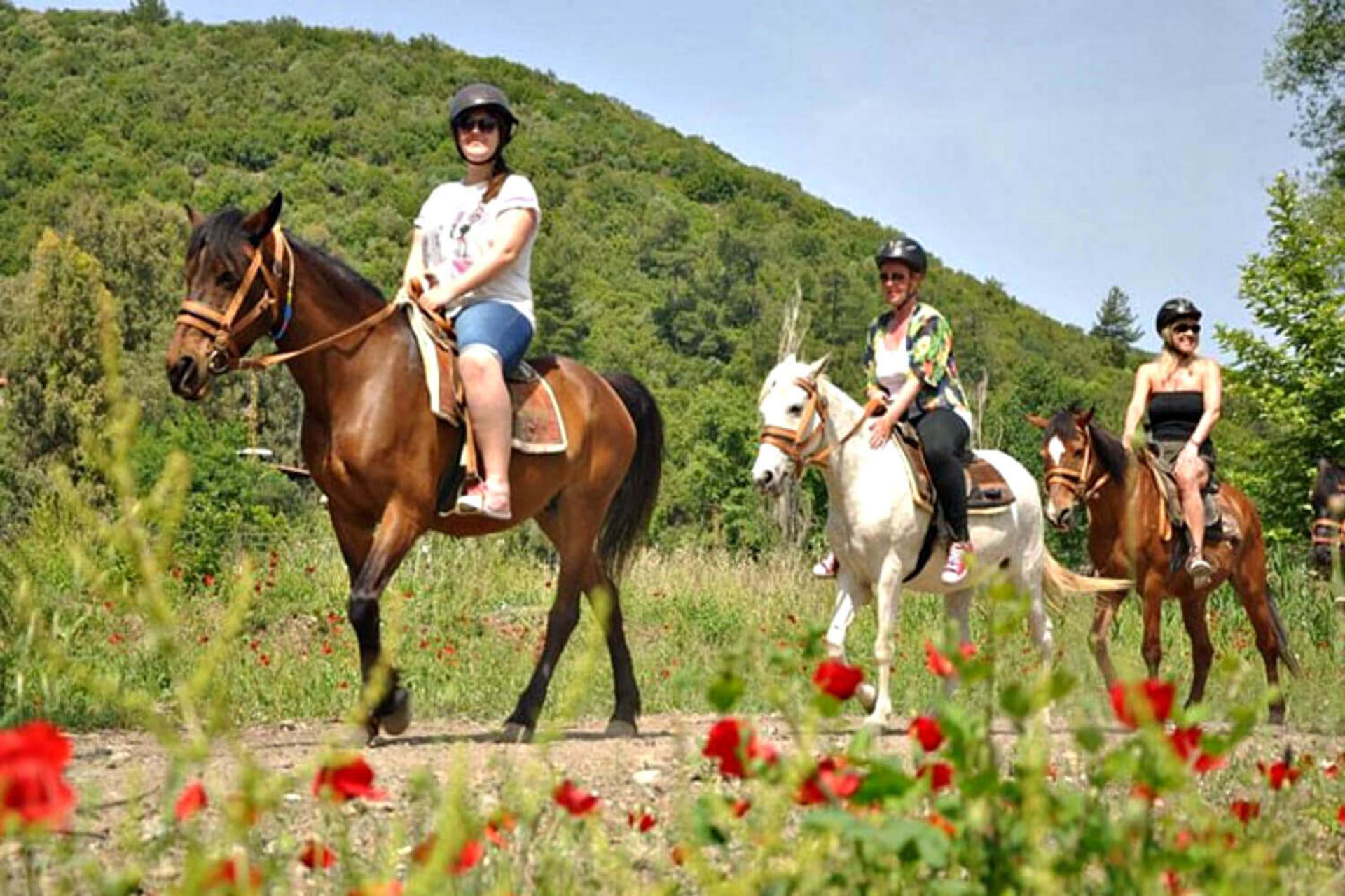 Kusadasi Horse Riding Experience with Transfer - Thumbnail 15