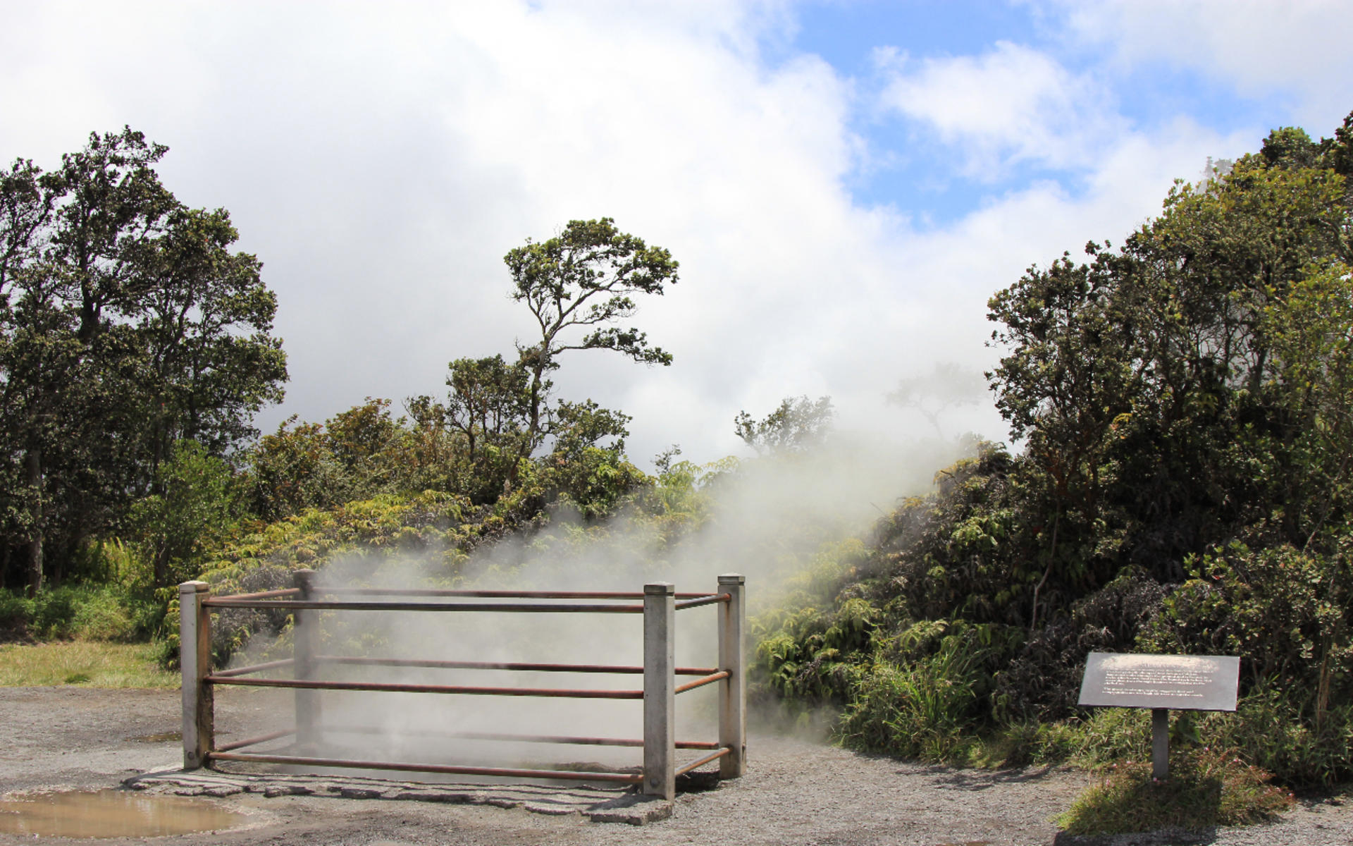 Hilo Volcano Land One Day Tour - Thumbnail 8