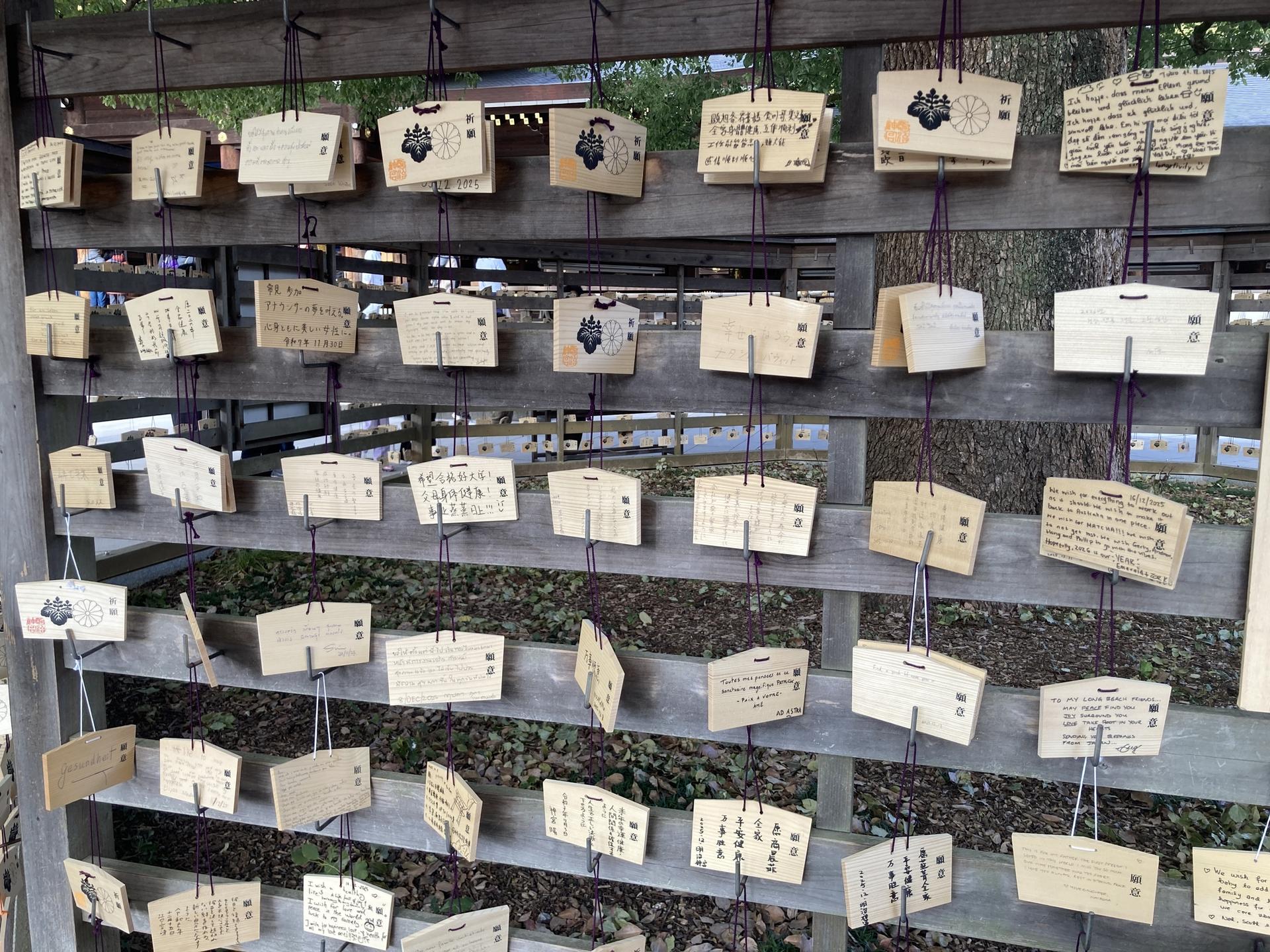 Tokyo: Meiji Jingu Historical Walking Tour with an expert guide - Thumbnail 2