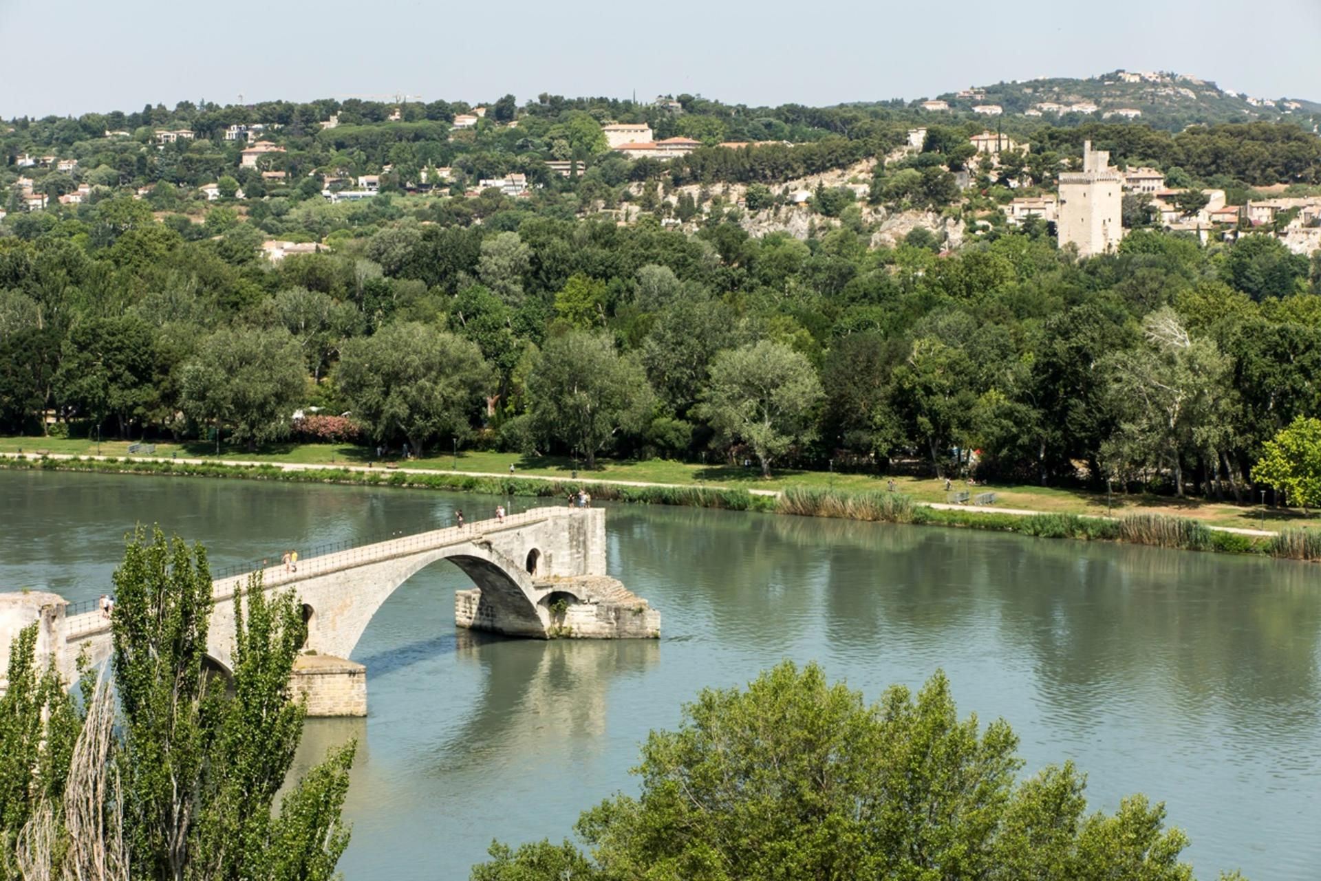 Avignon & Pont du Gard Private Tour: Palaces, Bridges & Roman Views - Thumbnail 4