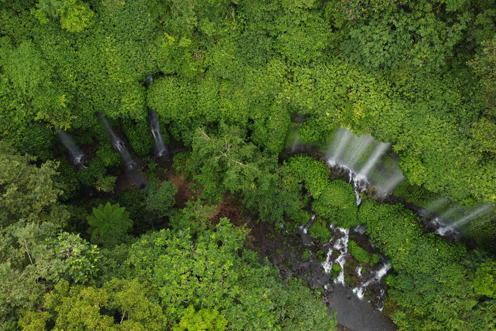 Senggigi Benang Stokel & Kelambu Waterfalls Full-Day Private Tour - Thumbnail 5