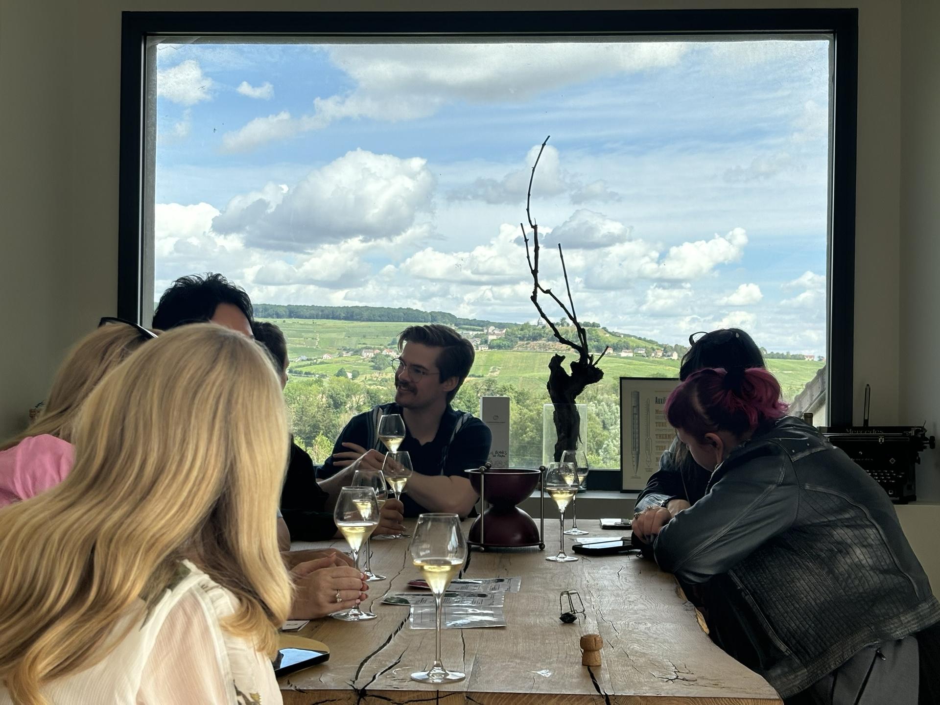 Half Day Family Grower Tour with Traditional Lunch from Reims - Image 1