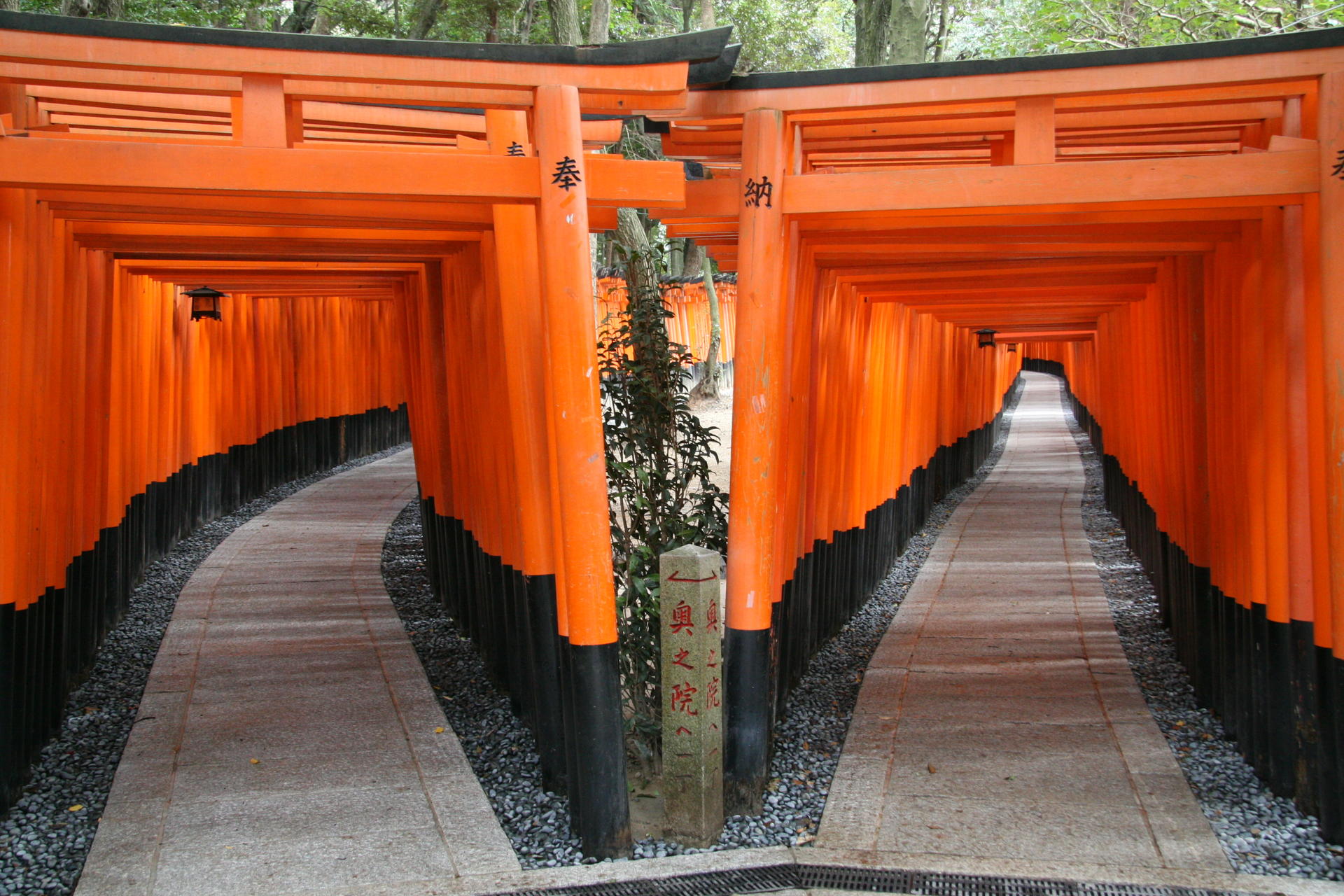 Kyoto 1 Day Bus Tour : Fushimi Inari, Kinkakuji, Bamboo Grove - Image 1