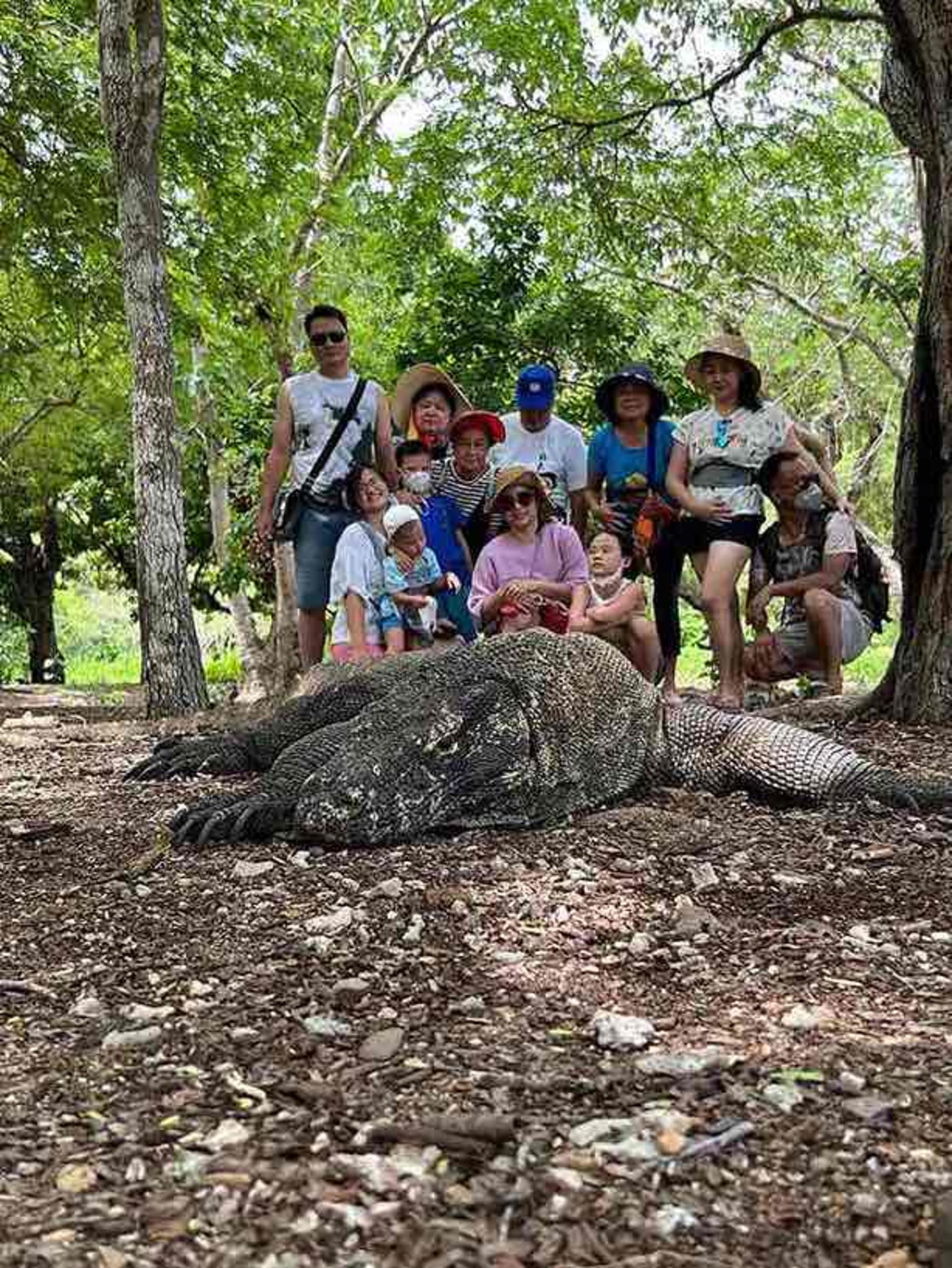 Full Day Speedboat Tour from Labuan Bajo - Thumbnail 12