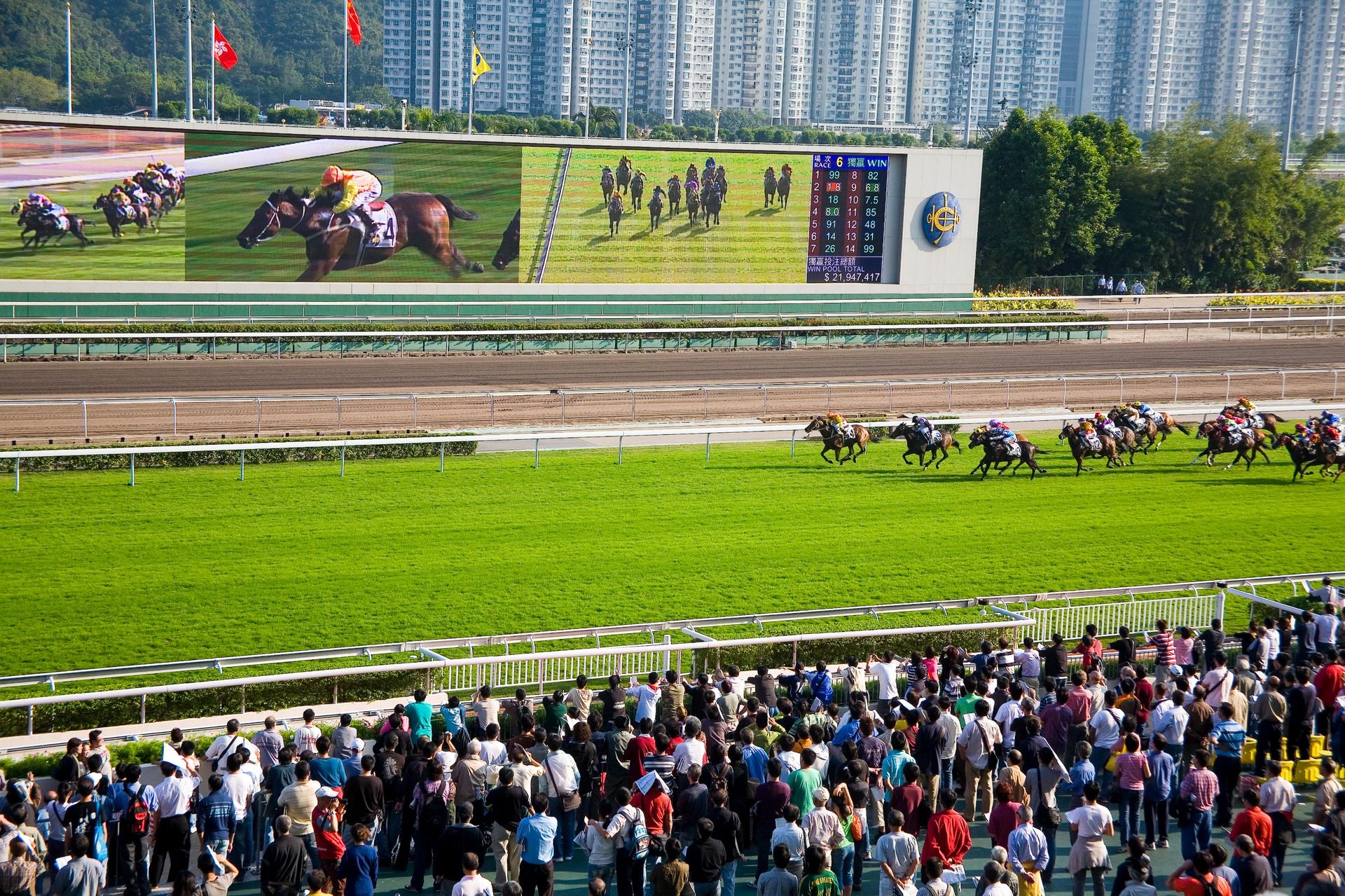 Hong Kong Jockey Club Sha Tin Racecourse Transfer (Guangdong Departure) - Thumbnail 3