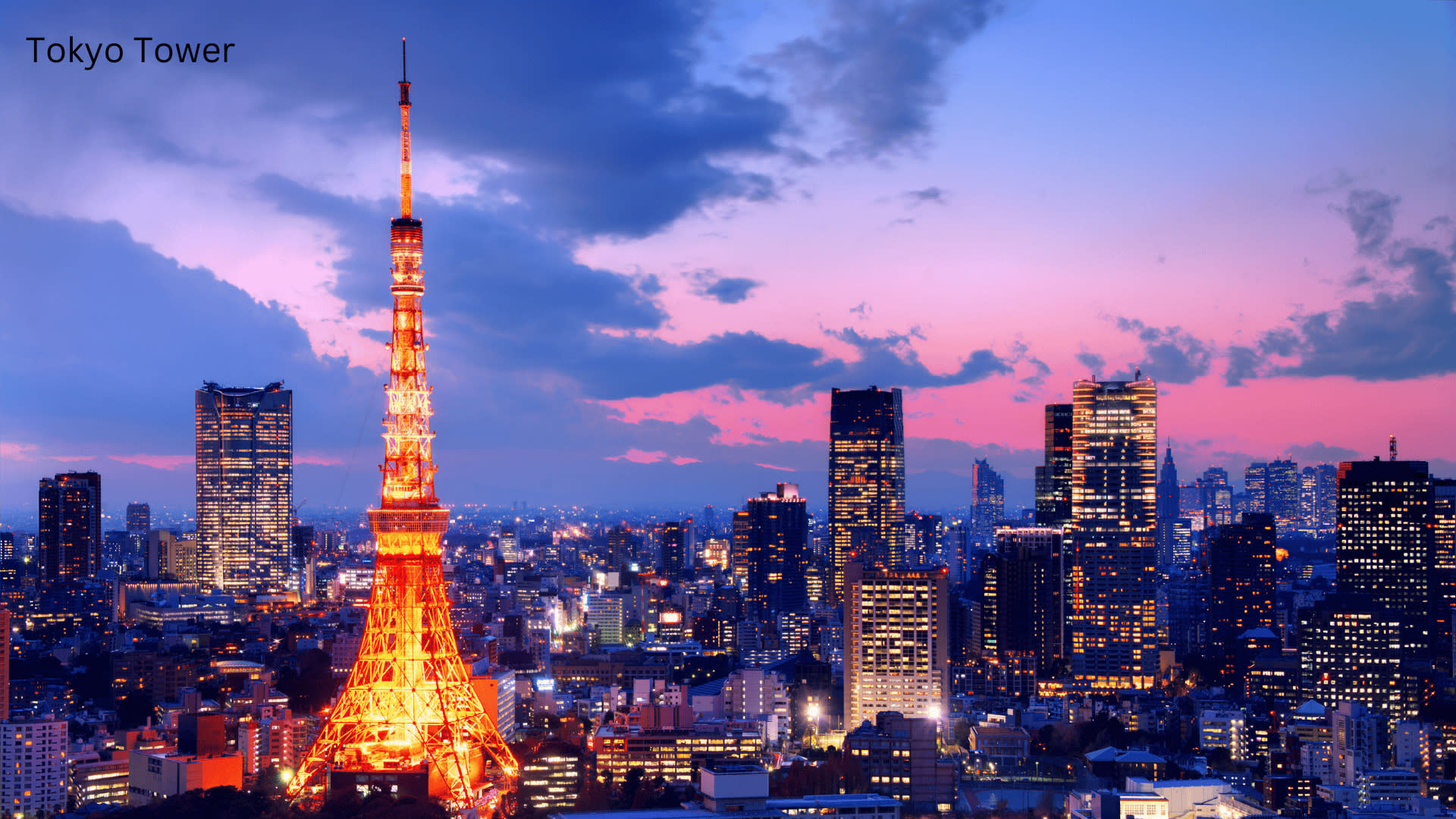 Tokyo Private Tours - Trips to Tokyo One-day Private & Customizable Tour - Thumbnail 2