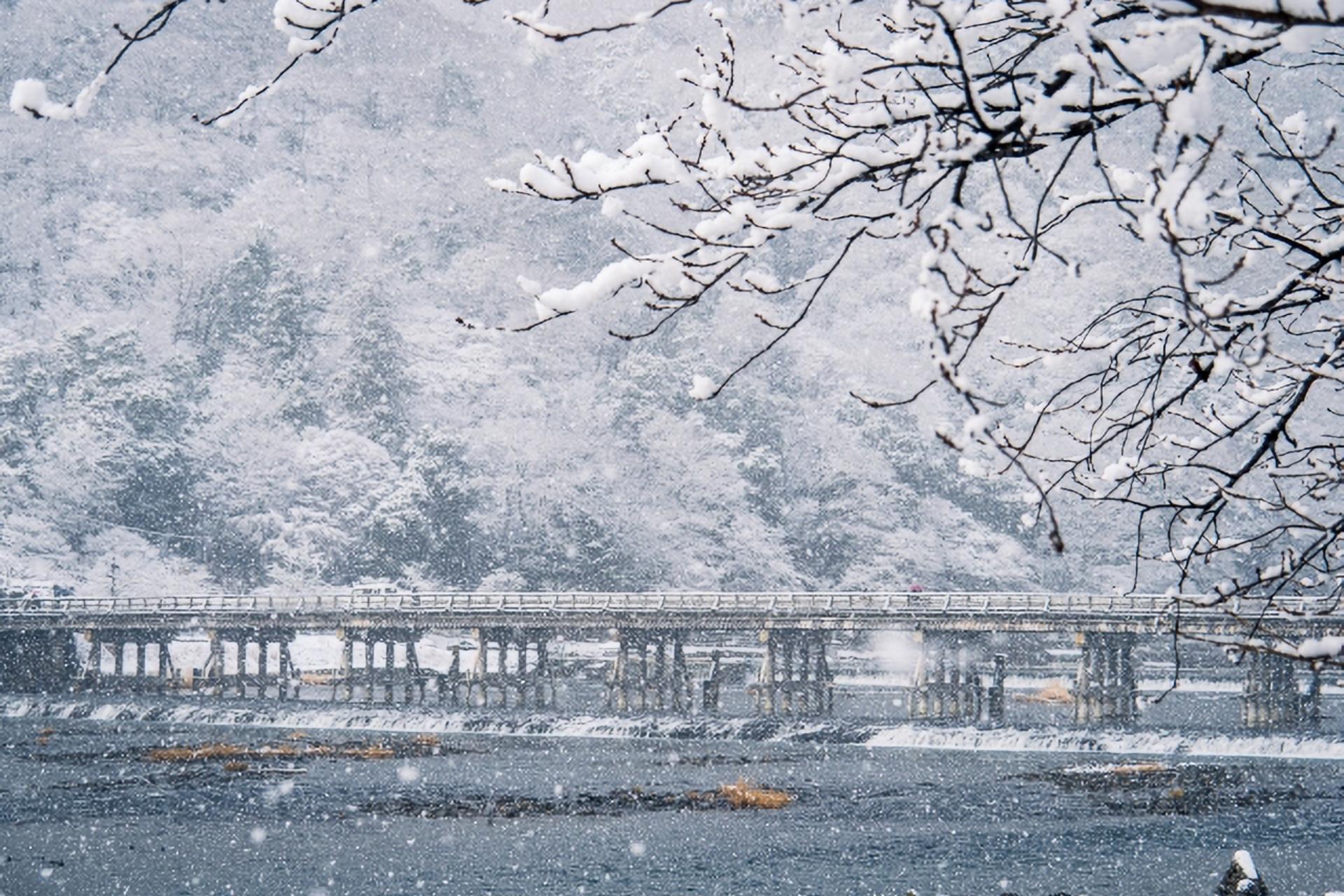 Kyoto City, Western Kyoto & Arashiyama:In-Depth 1-Day Cultural Tour - Thumbnail 17