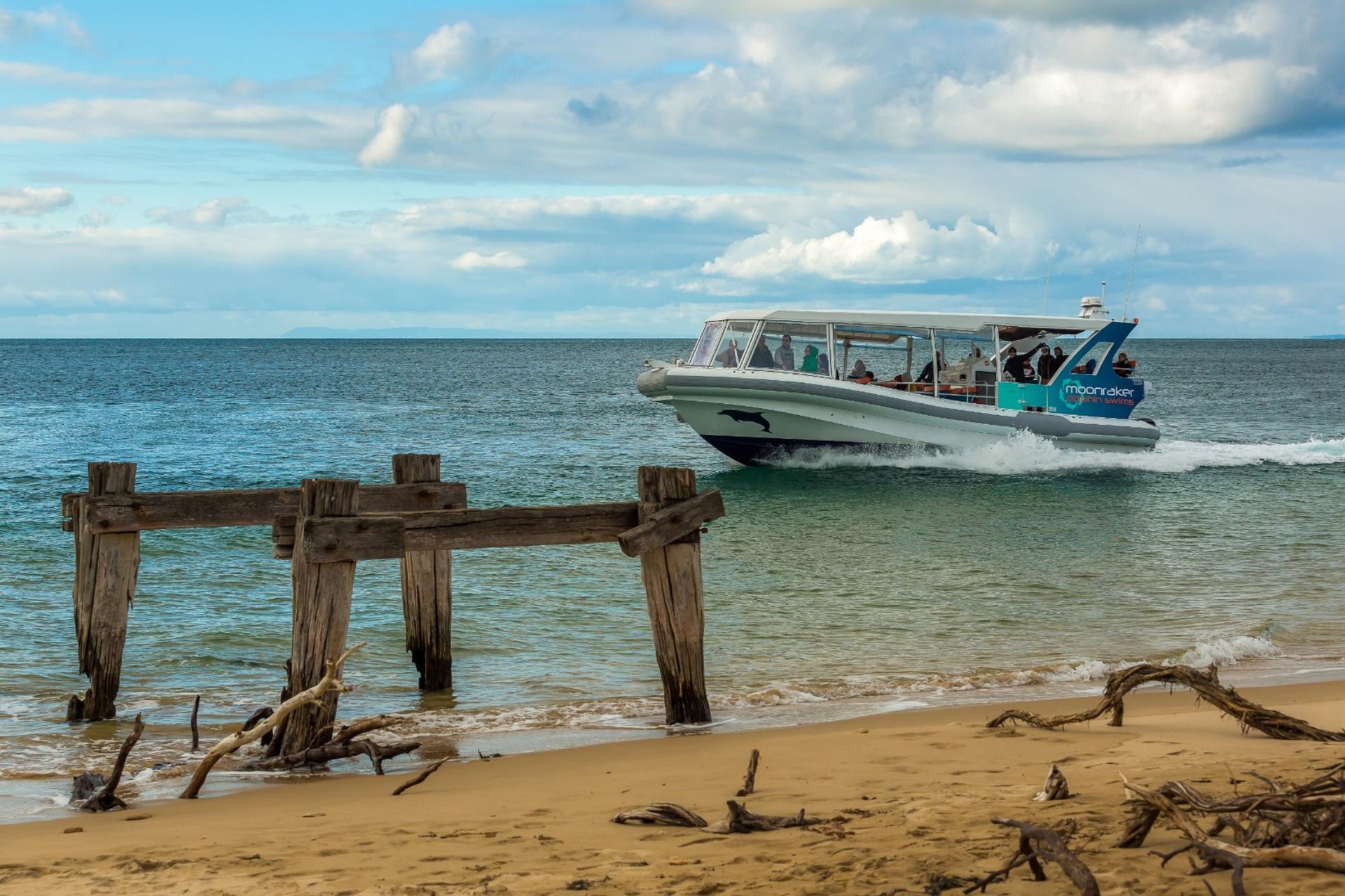 1.5 hour Scenic and Wildlife Adventure Cruise - Thumbnail 2