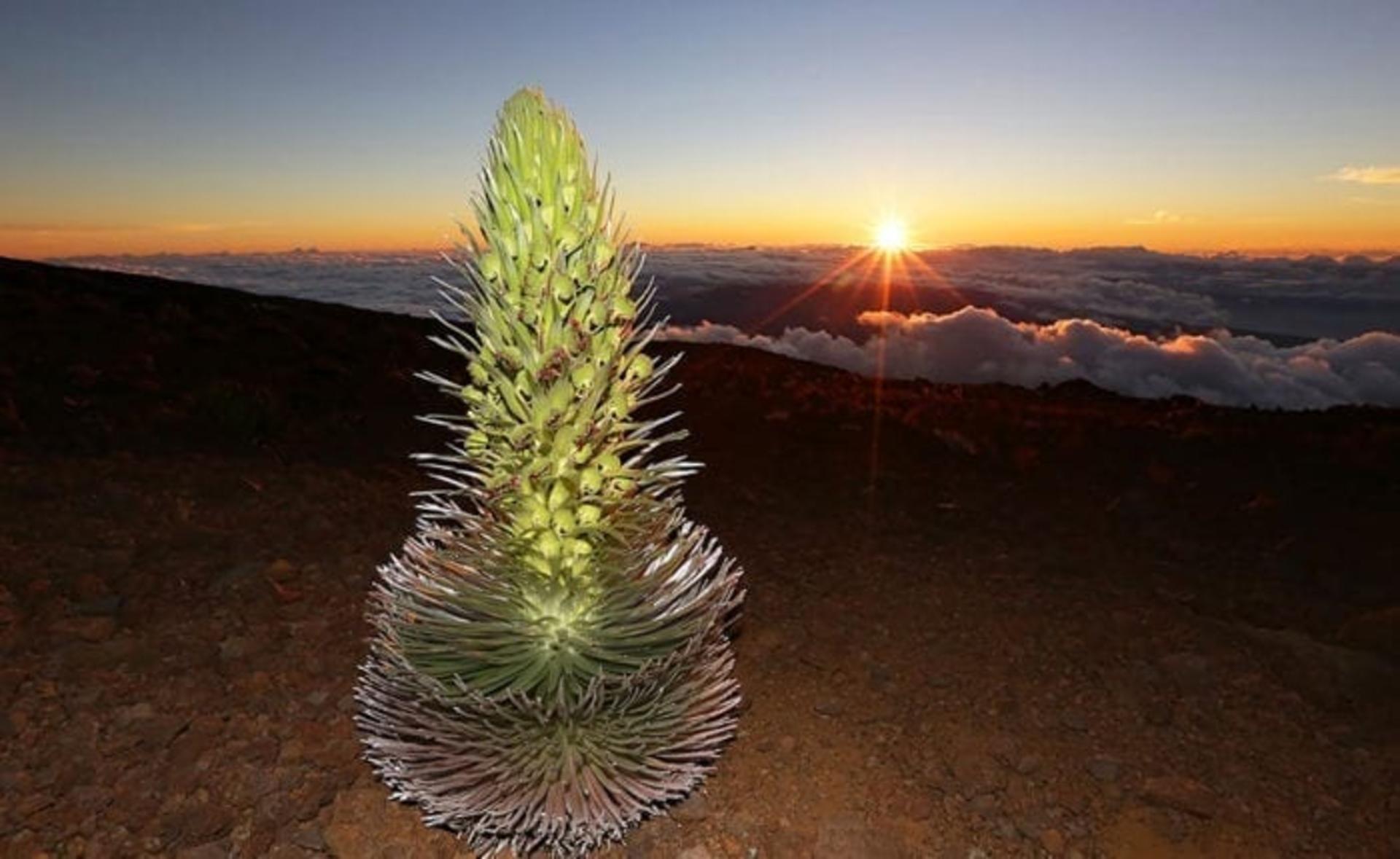 Haleakala Sunset Tour in Hawaii - Thumbnail 4