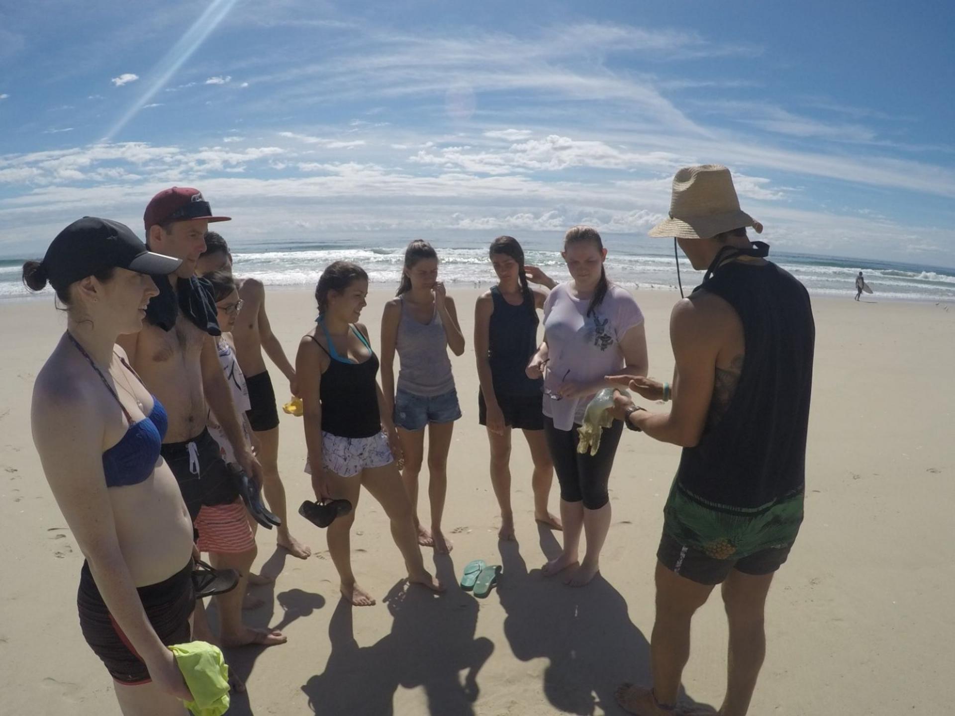 Wave Break Island Morning Kayaking & Snorkel Adventure - Thumbnail 3