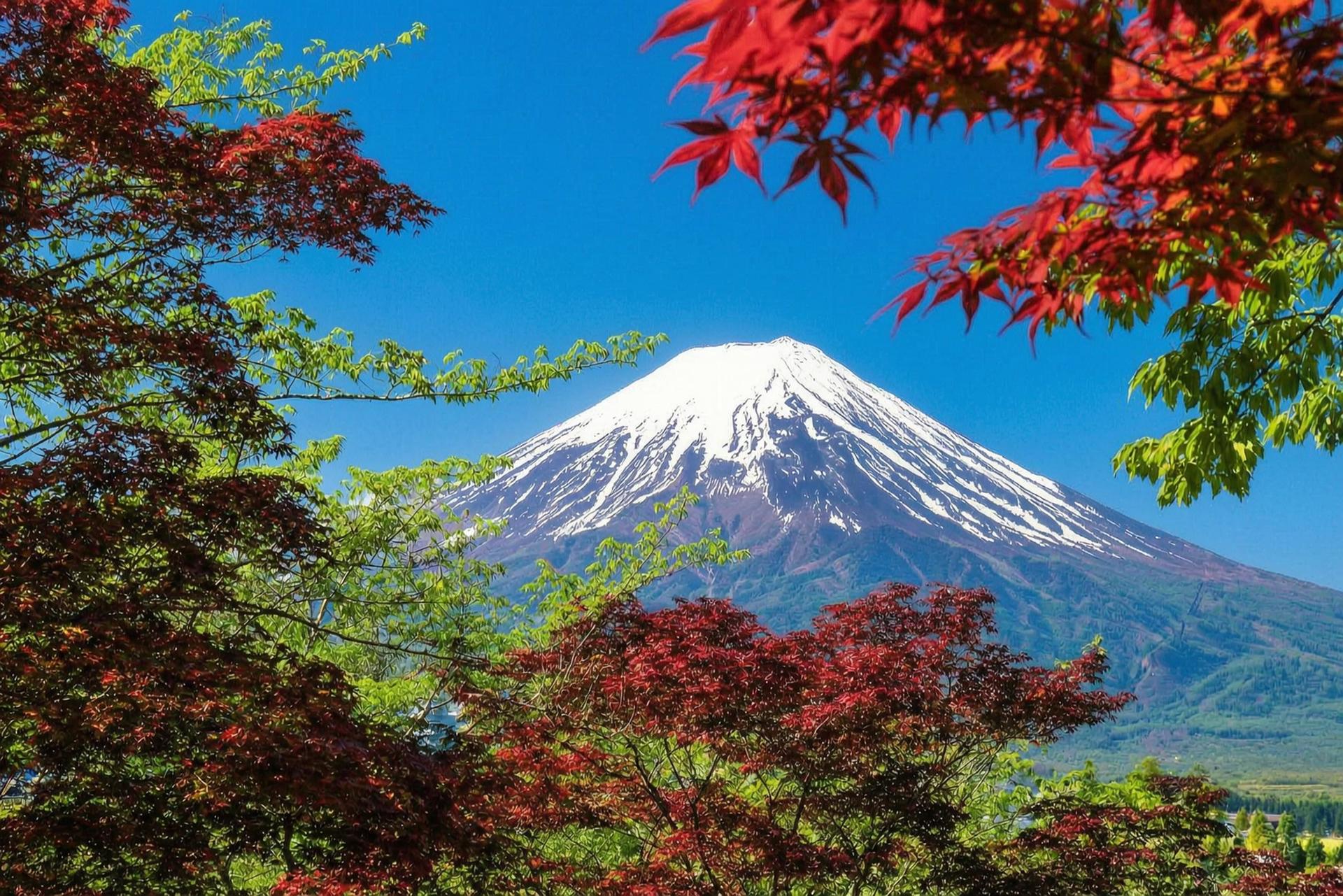 Mount Fuji Brilliant Scenery One-Day Tour (Departing from Tokyo) - Thumbnail 50