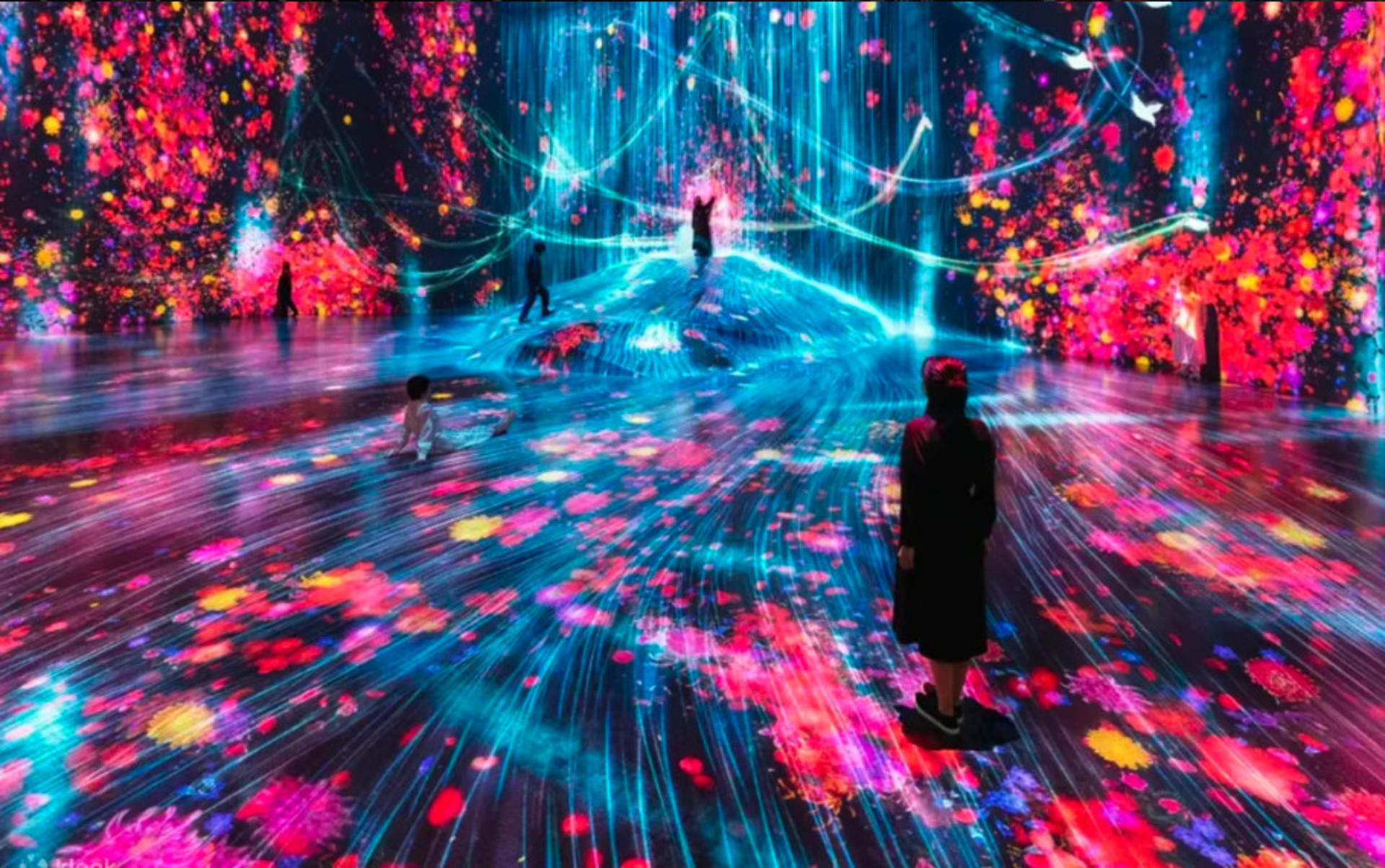 Have Fun in Tokyo Pass (with options: Warner Brothers and teamLab Planets Tokyo) - Thumbnail 15