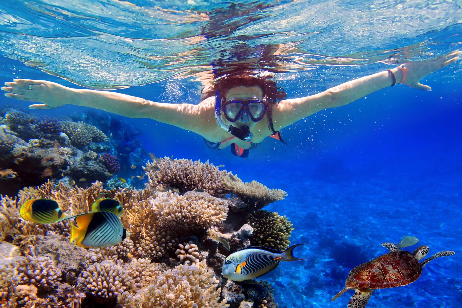 Half-Day Snorkeling Adventure At Mun Island with BBQ Lunch - Thumbnail 5