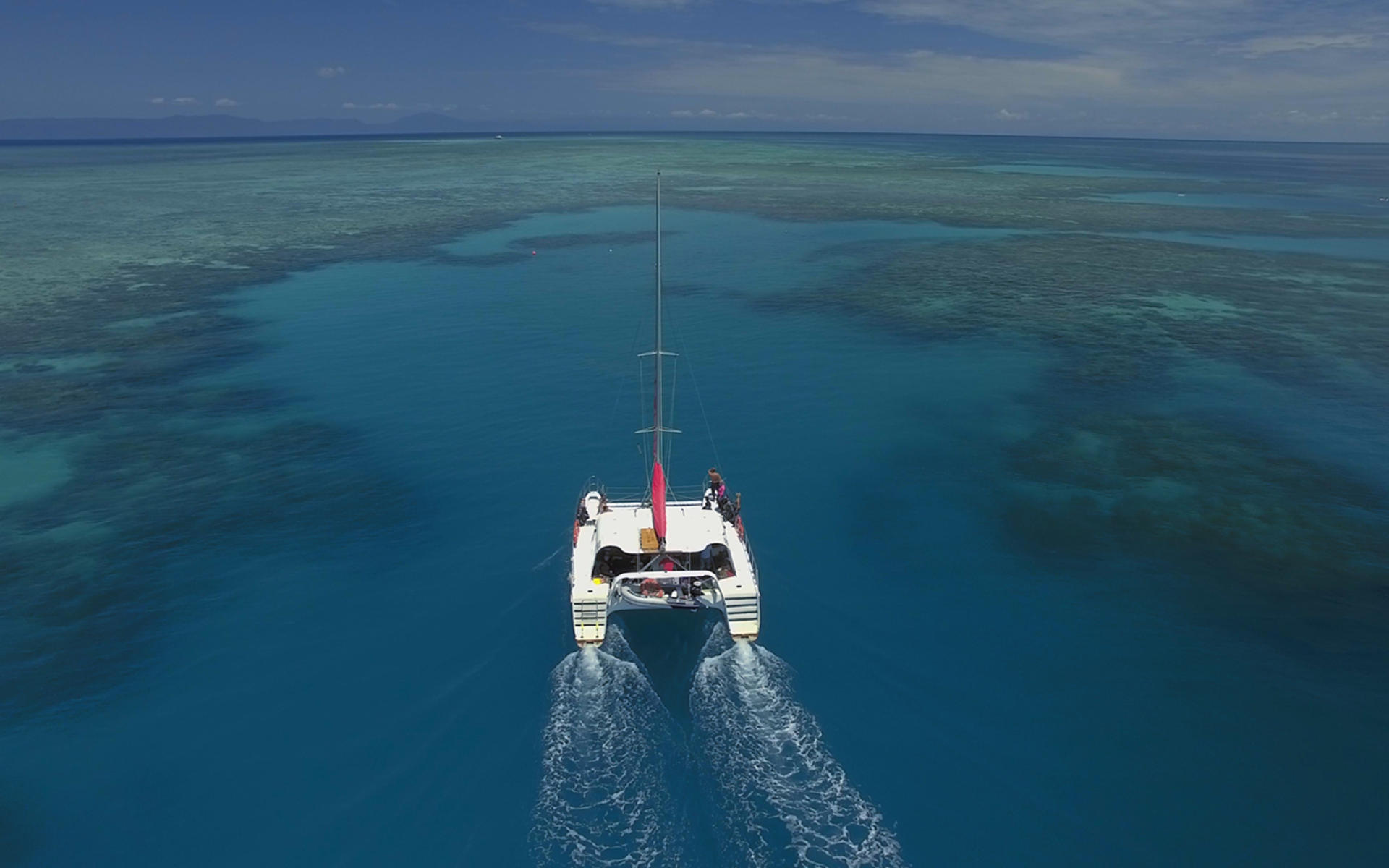 Reef Daytripper Snorkel and Scuba Dive Experience - Thumbnail 2