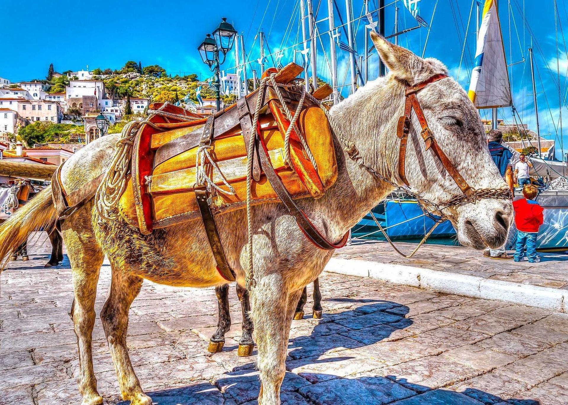 Poros, Hydra, and Aegina One-Day Cruise Tour With Lunch - Thumbnail 7