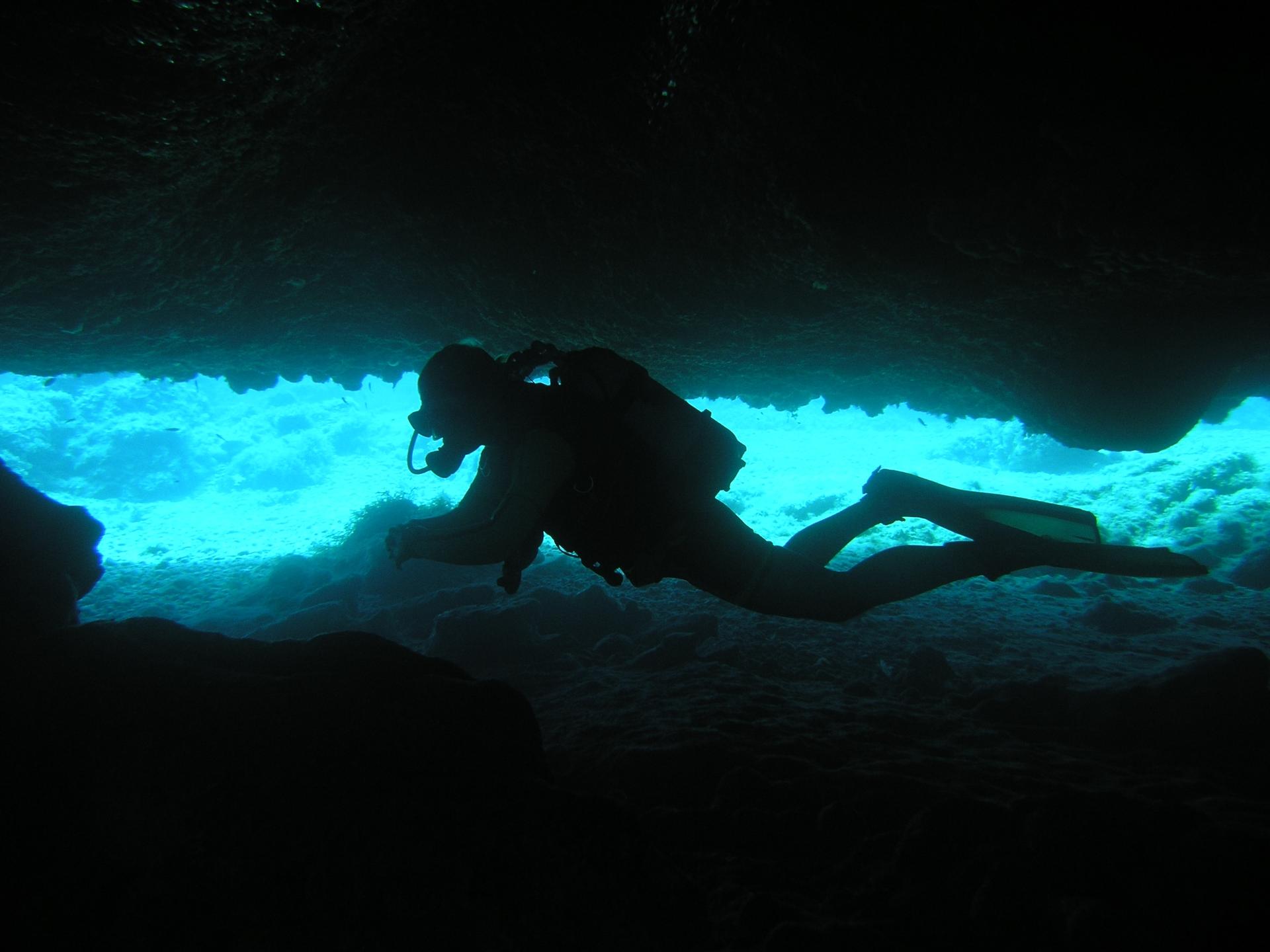 2 Tank Full-Day Dive Trip in Rhodes with PADI 5 Star IDC Resort - Thumbnail 10