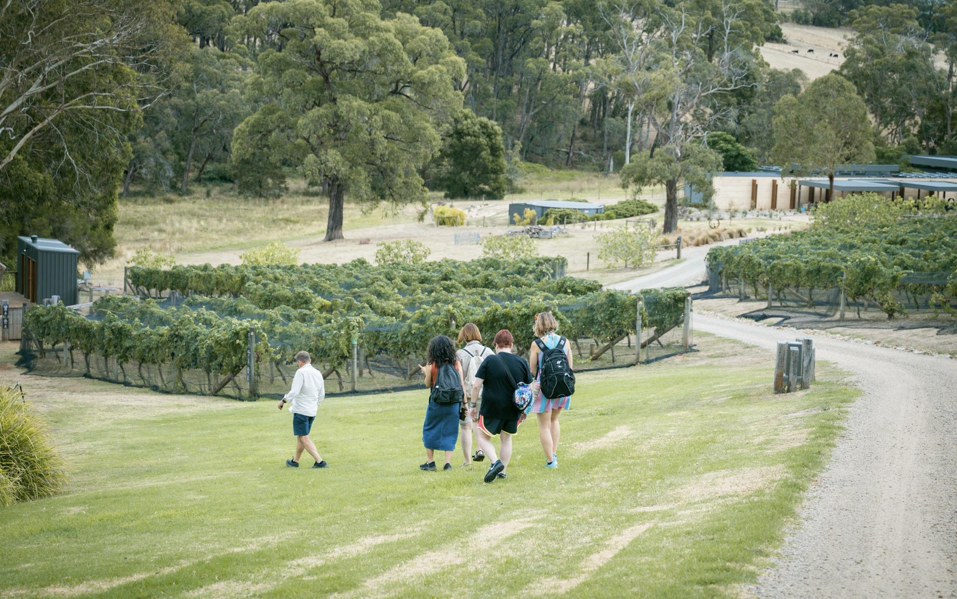 Mornington Peninsula Boutique Wine and Lunch Small Group Tour - Thumbnail 22