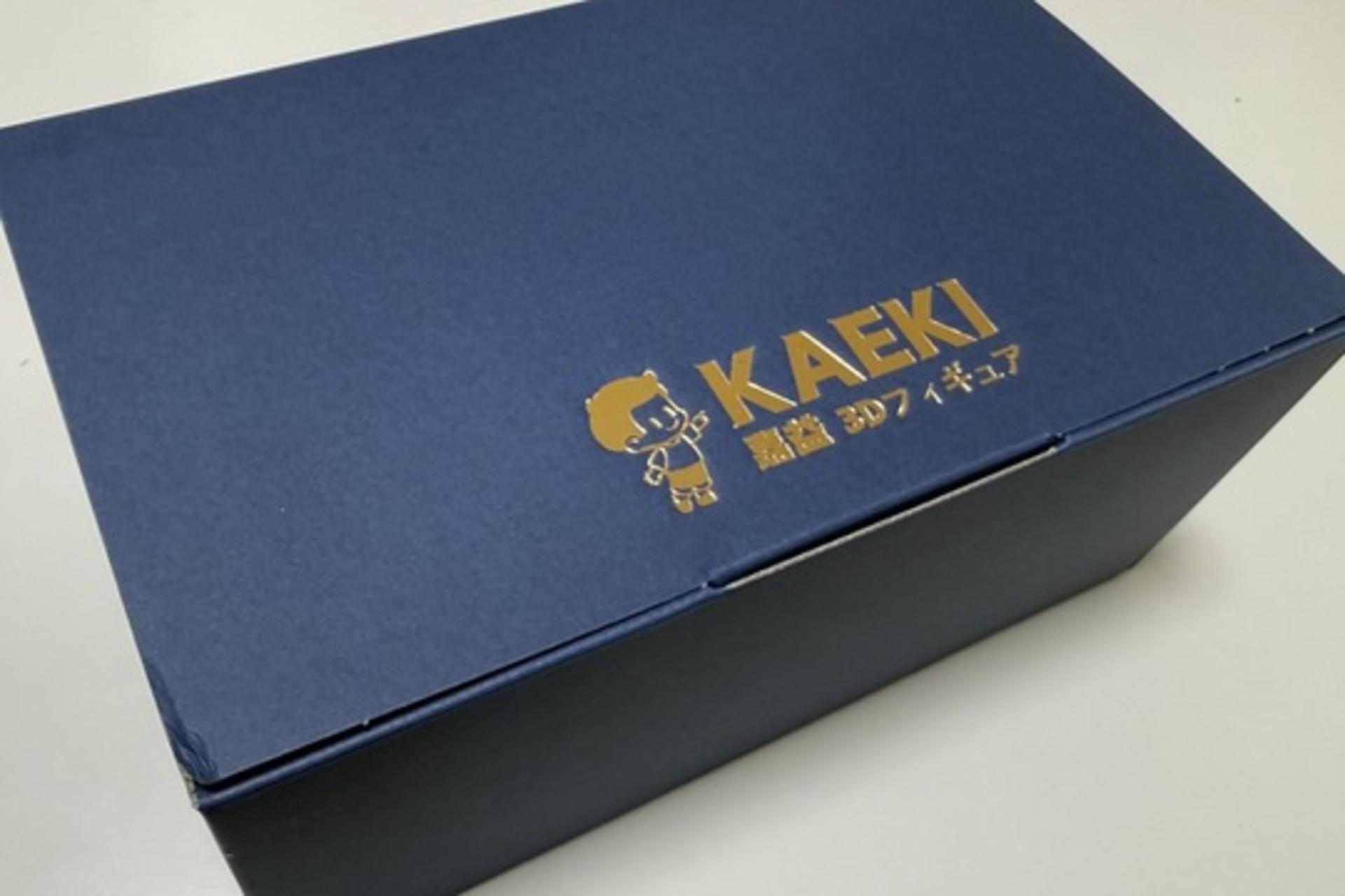 KAEKI 3D FIGURE HARAJUKU: Harajuku Custom 3D Figure Creation - Thumbnail 58