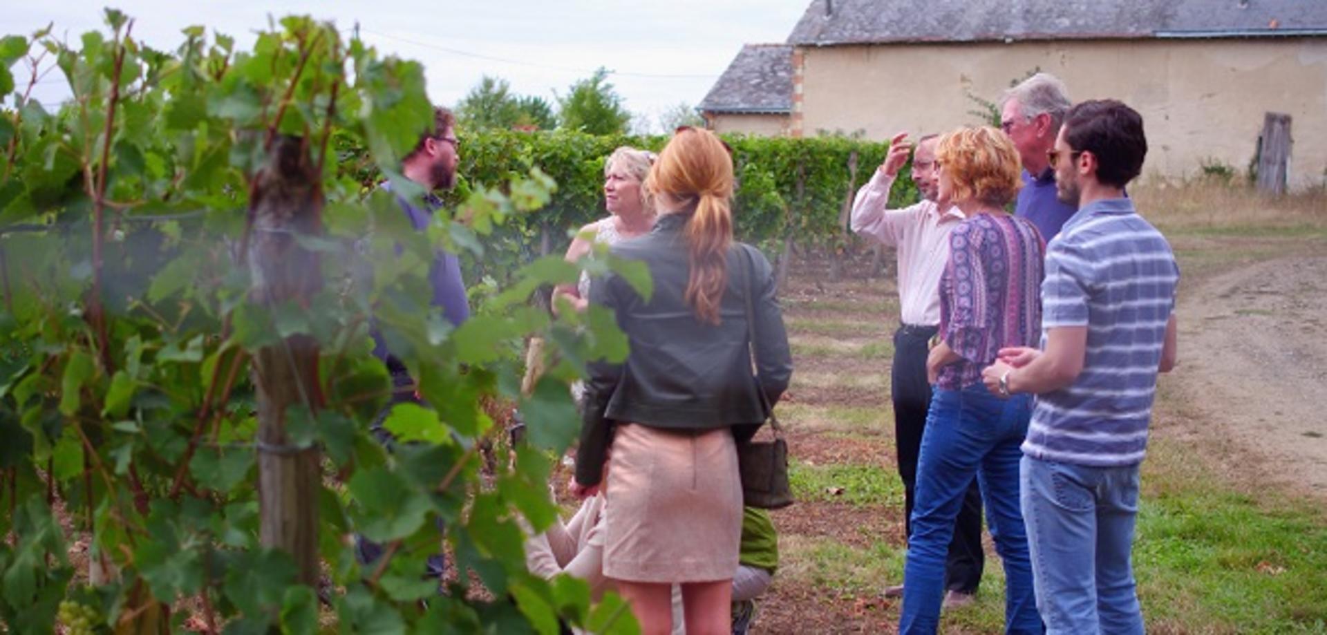 Loire Valley Half Day Wine Tour in Vouvray from Tours - Thumbnail 2
