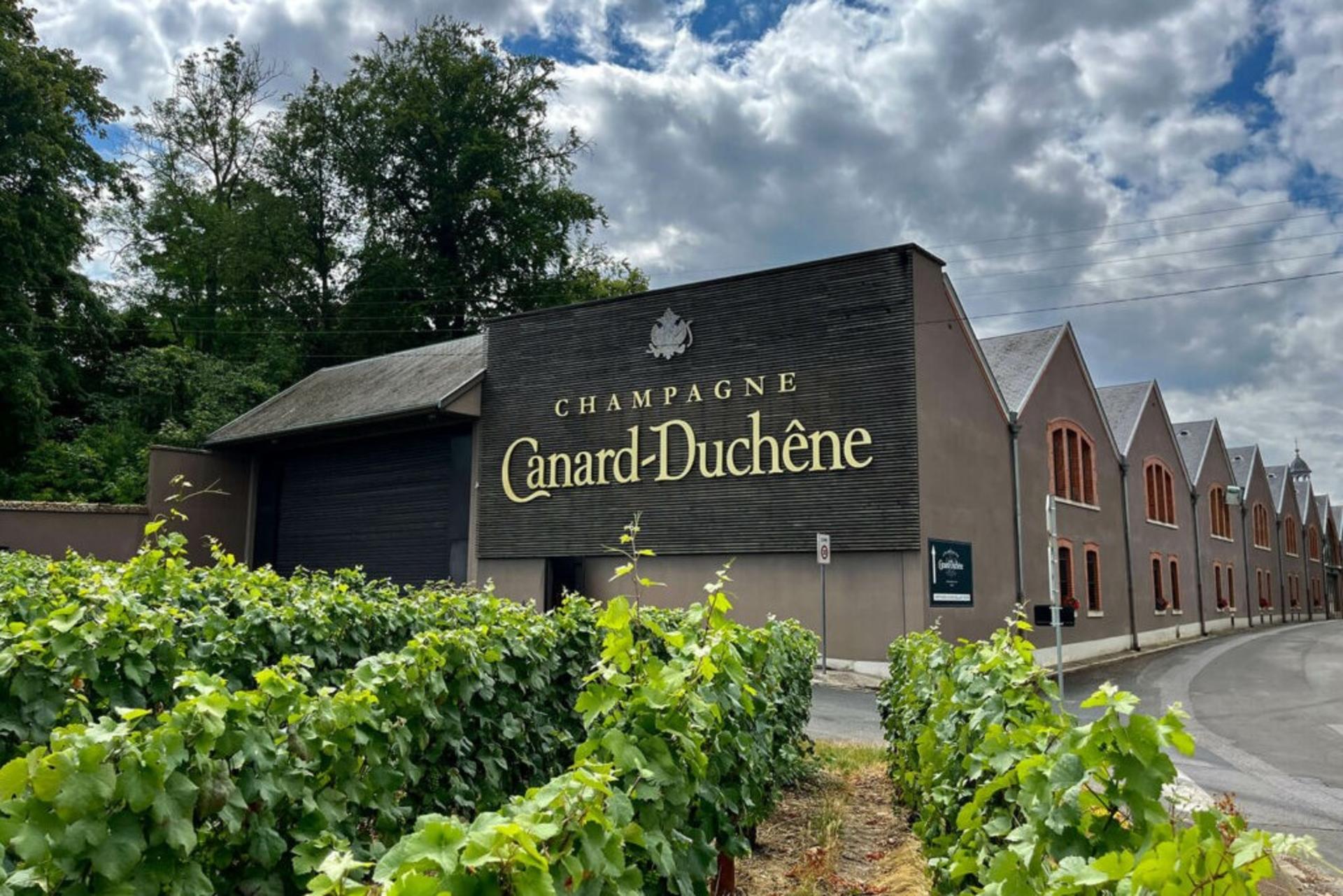 Champagne Tasting Tour in Champagne and Reims from Paris - Thumbnail 5