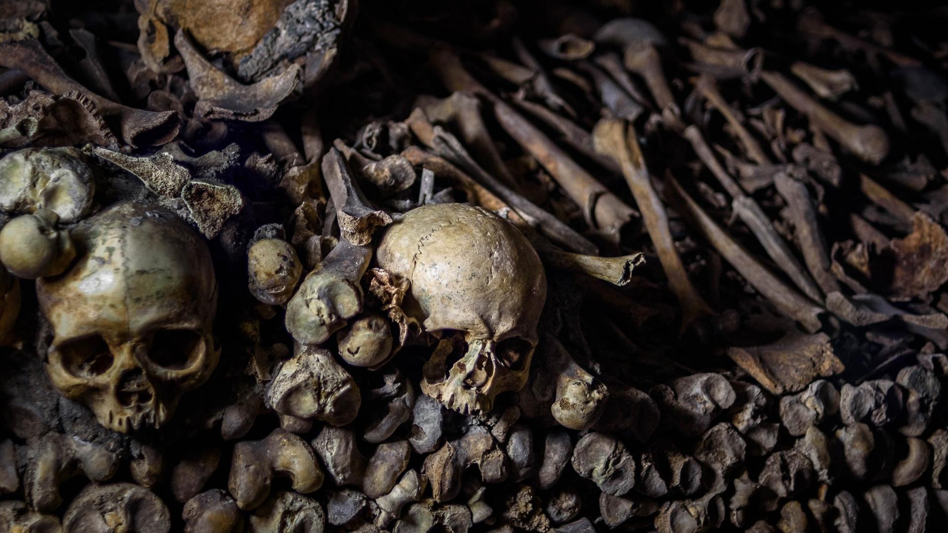 Paris Catacombs Guided Tour with Skip-the-Line & Restricted Areas - Thumbnail 2