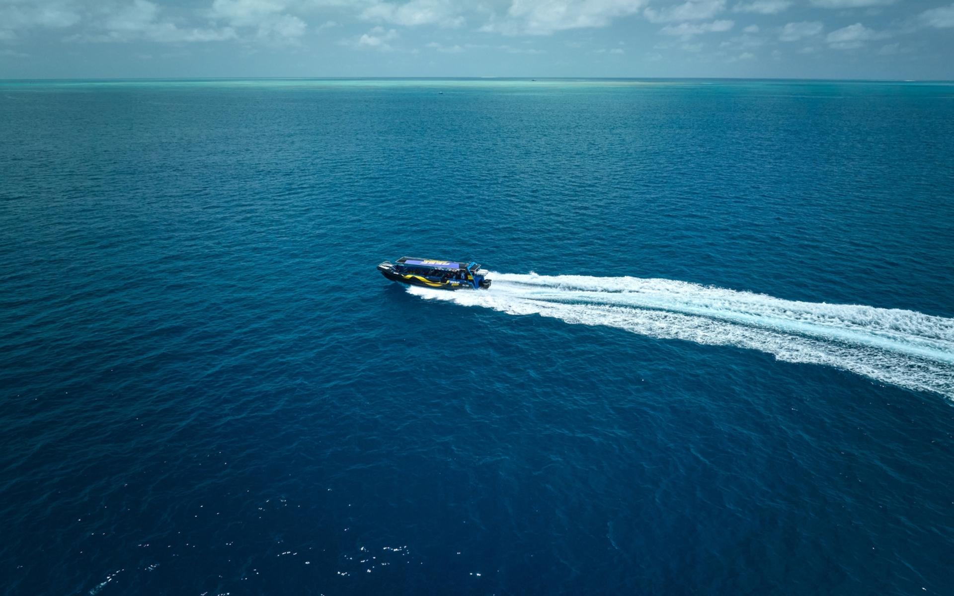 Half Day Reef Adventure to Upolu Reef - Thumbnail 4