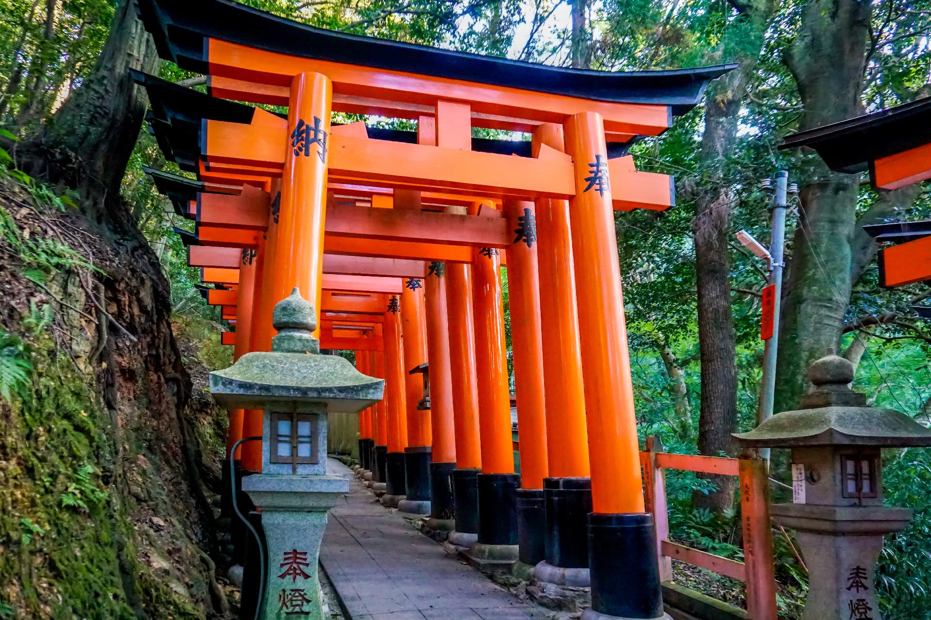 【Kyoto & Nara Historical and Cultural Scenic Day Tour】Arashiyama Scenic Railway & Fushimi Inari-taisha Shrine Senbon Torii & Nara Park & Togetsukyo Bridge & Bamboo Grove Path & Kimono Forest (Departing from Osaka or Kyoto) - Thumbnail 33