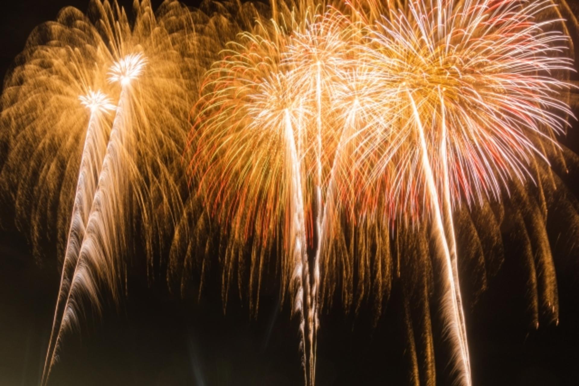 Autumn Fireworks Festival 1-Day Tour: Tsuchiura Fireworks Competition (includes admission ticket) / Kinugawa Fireworks (includes admission ticket) / Oarai Sea Fireworks / Tonegawa Fireworks - Thumbnail 21