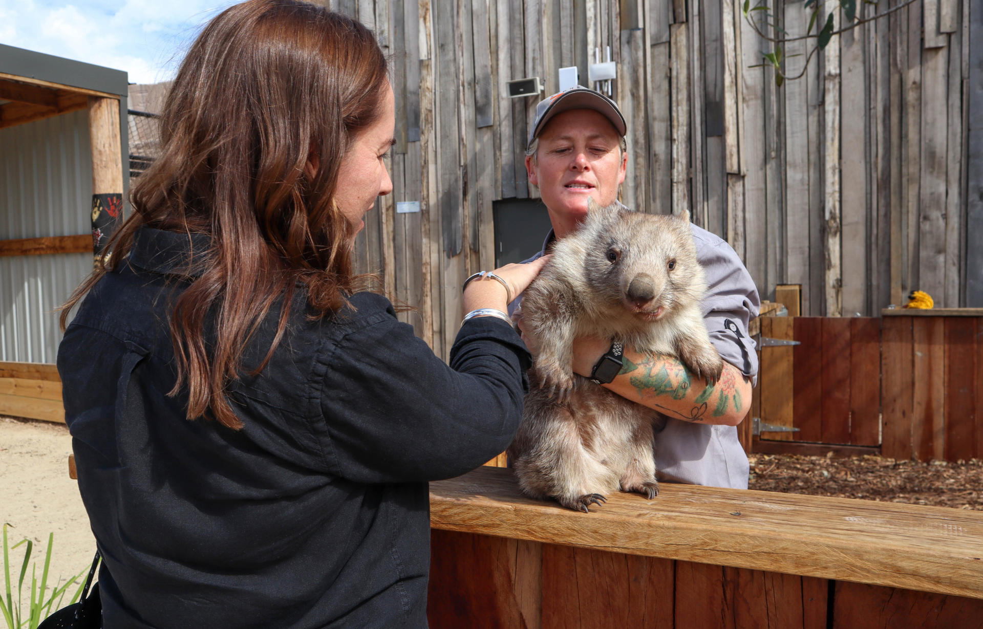 Sydney Zoo Ticket - Thumbnail 2