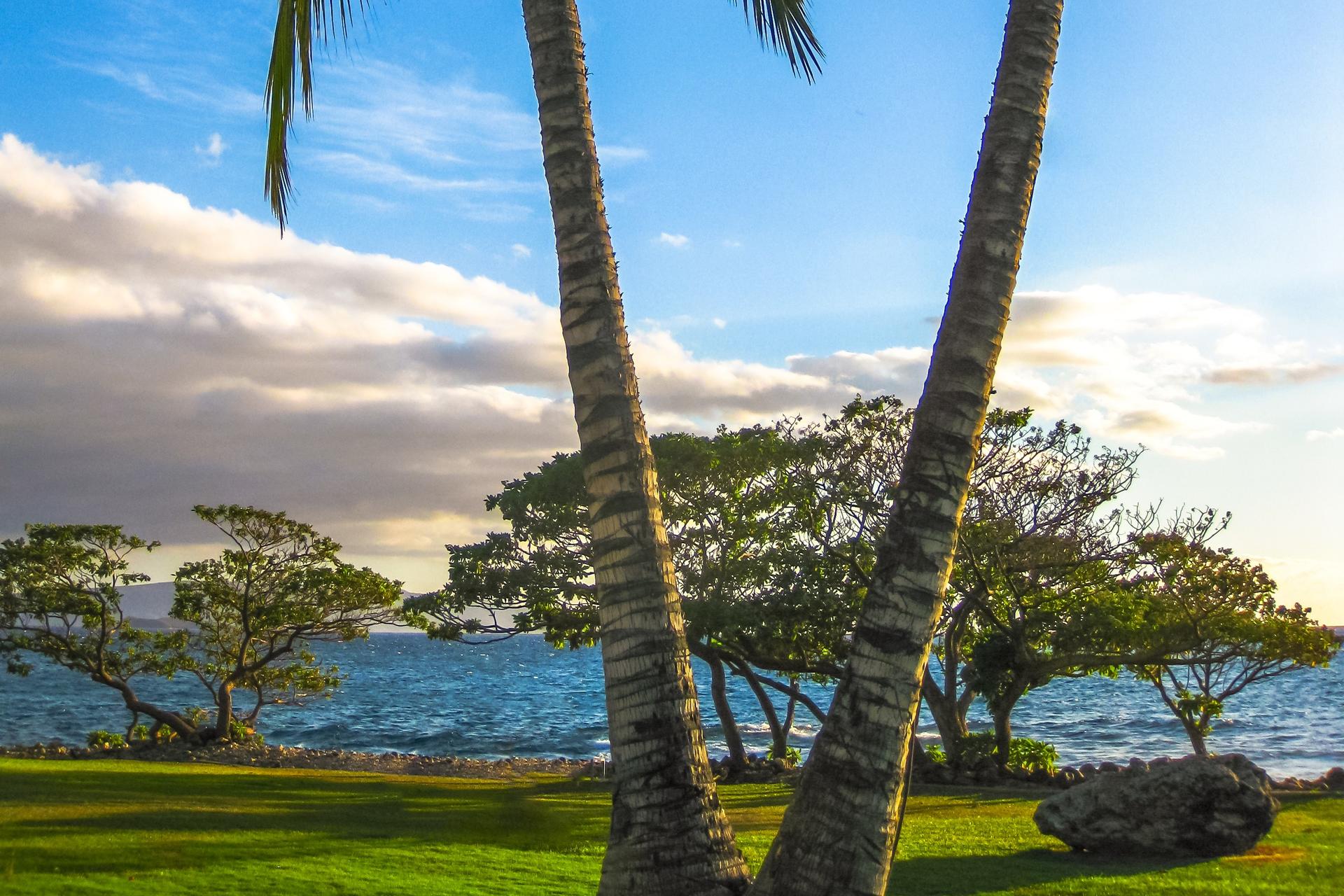 Maui Beach Parks Self-Guided Driving Audio Tour - Thumbnail 5