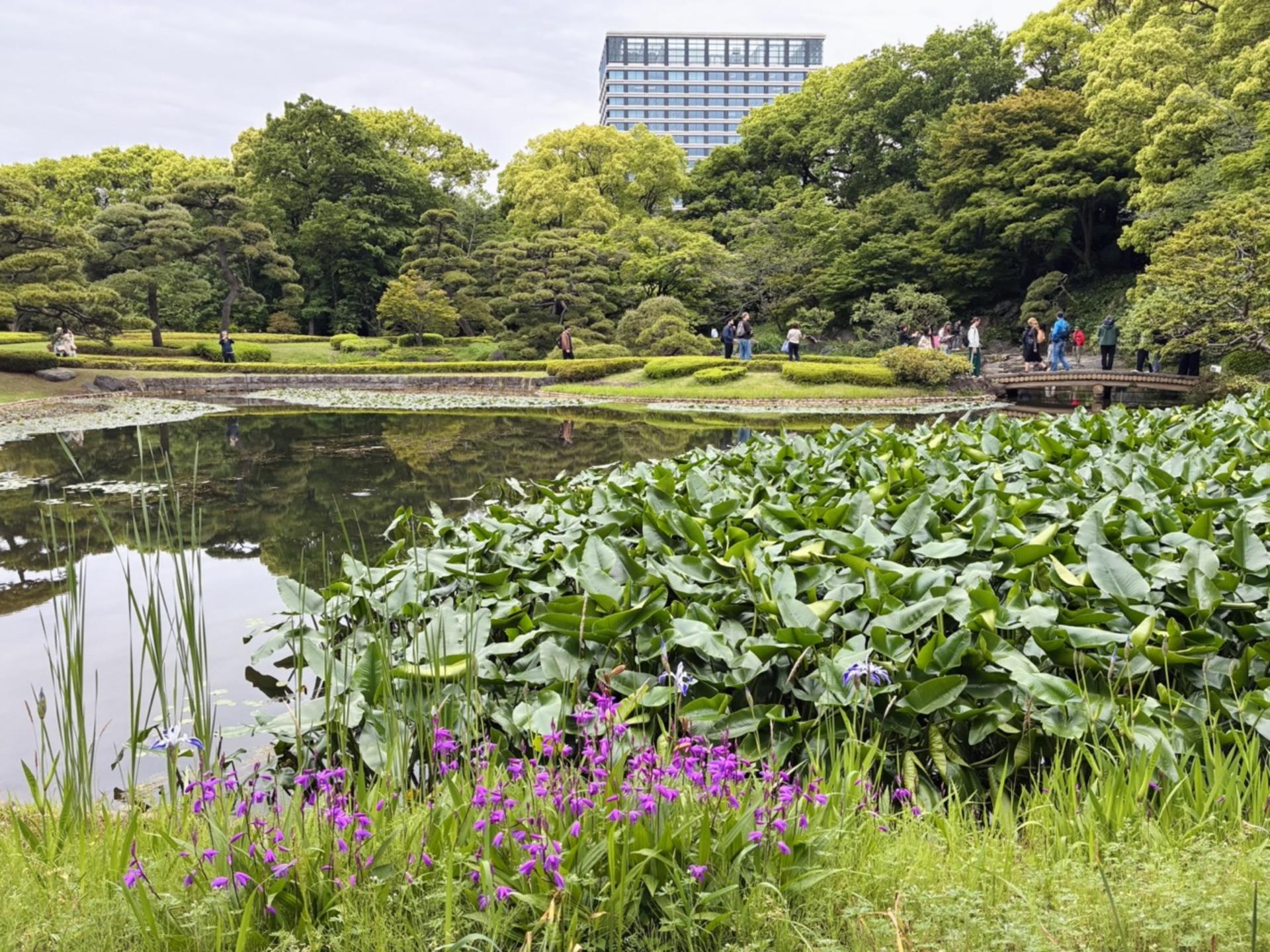 Tokyo: Imperial Palace & Shogun Castle Walking Tour - Thumbnail 22