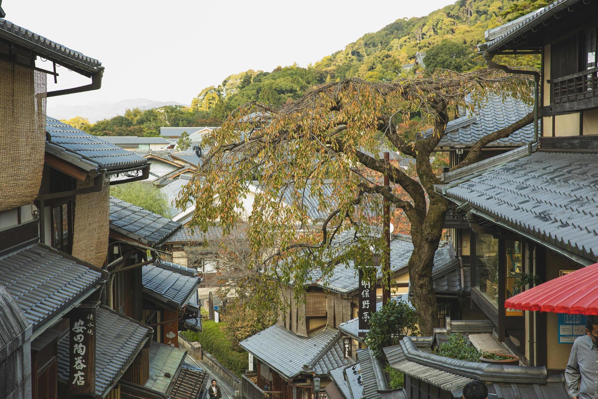 Kyoto Luxury Private Car Charter - Exploring Japanese Style - Thumbnail 38